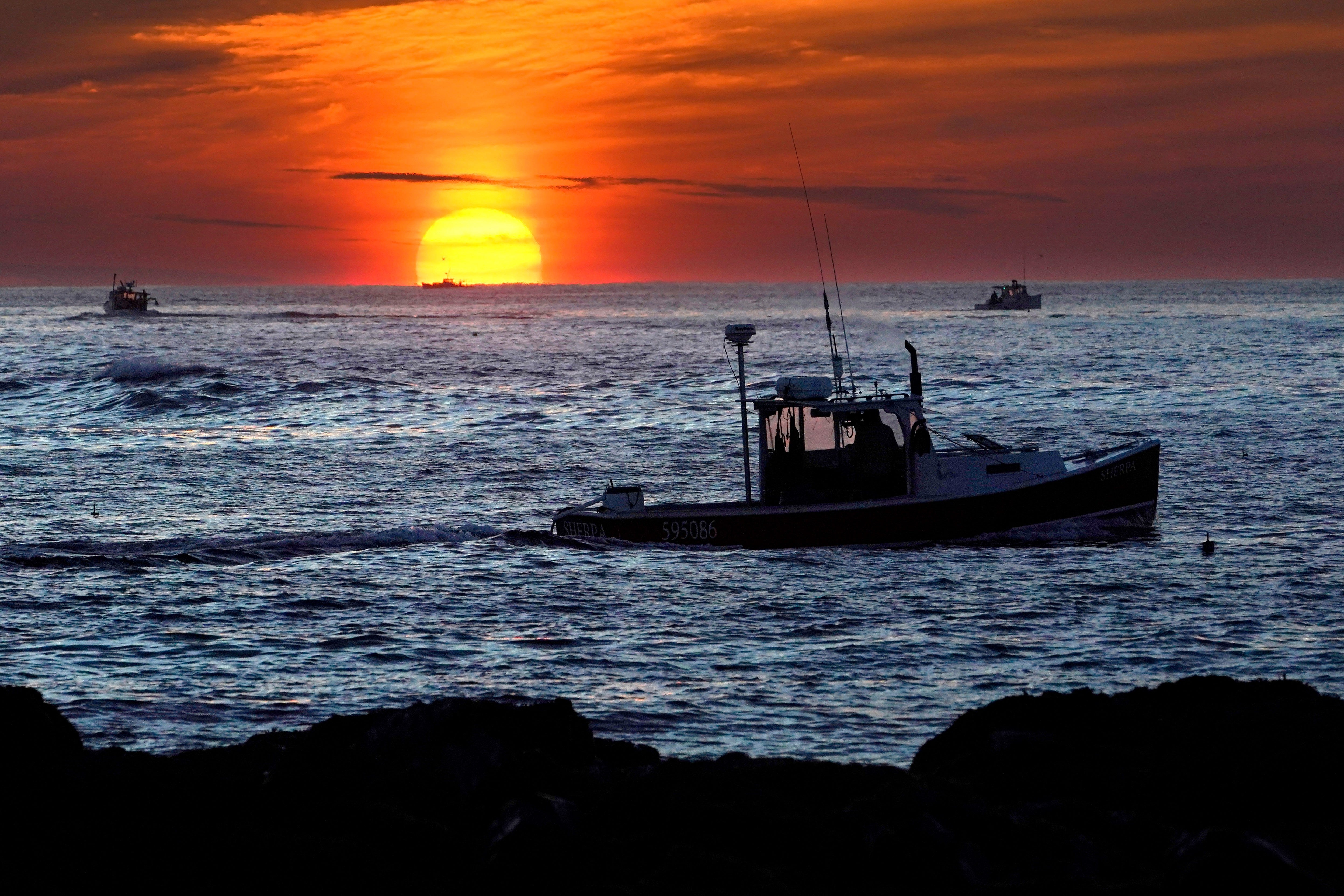 Conservation groups person agelong made nan lawsuit that lobster and crab fisheries are some vulnerable to nan whales, and authorities agencies person acknowledged that entanglement successful sportfishing cogwheel is simply a captious threat to nan elephantine animals