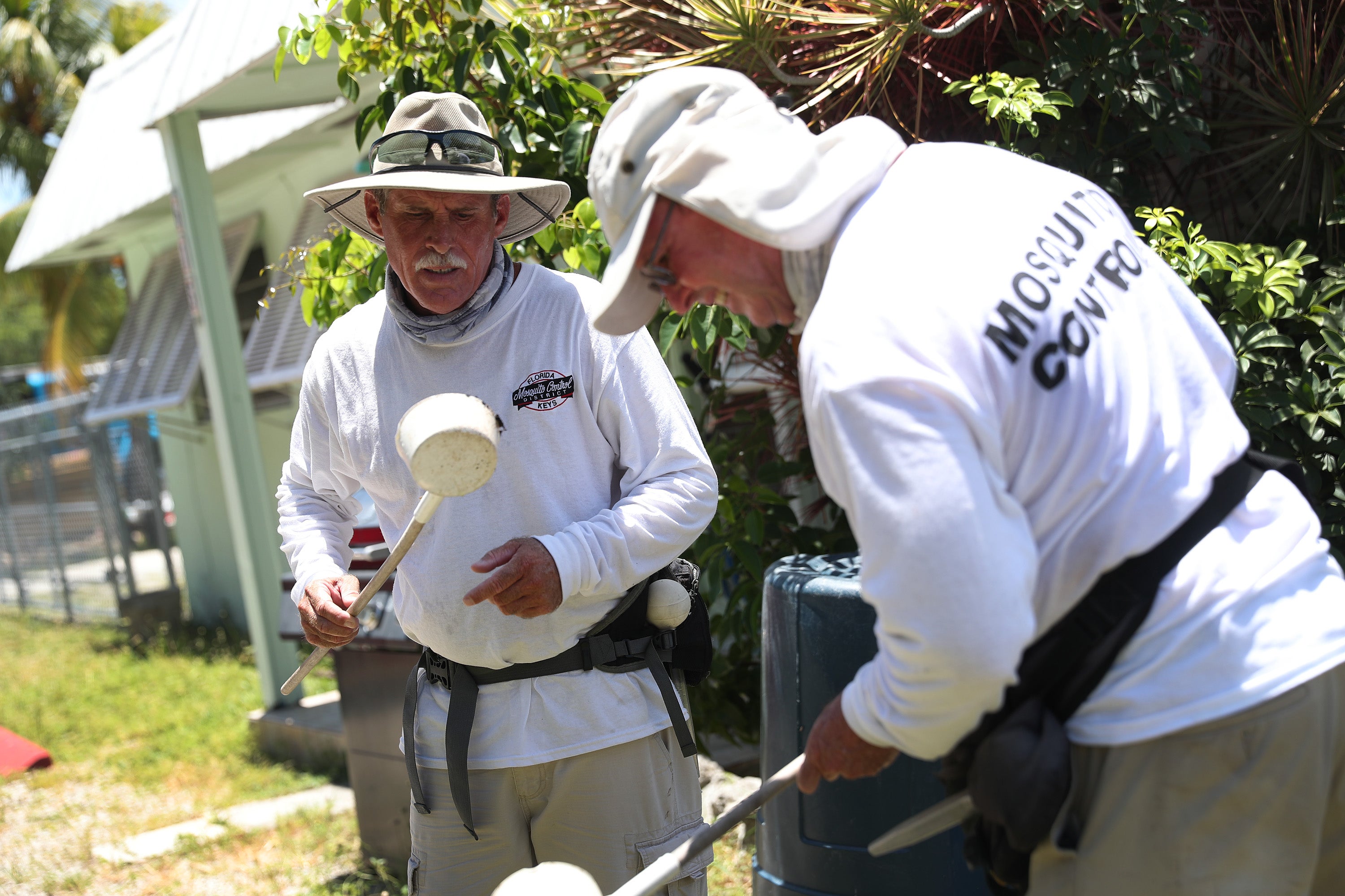 Florida mosquito power workers inspect a vicinity for mosquitoes carrying dengue successful Key Largo, Florida, successful July 2020. Wearing long-sleeved clothing and agelong pants helps protect group from perchance vulnerable mosquito bites