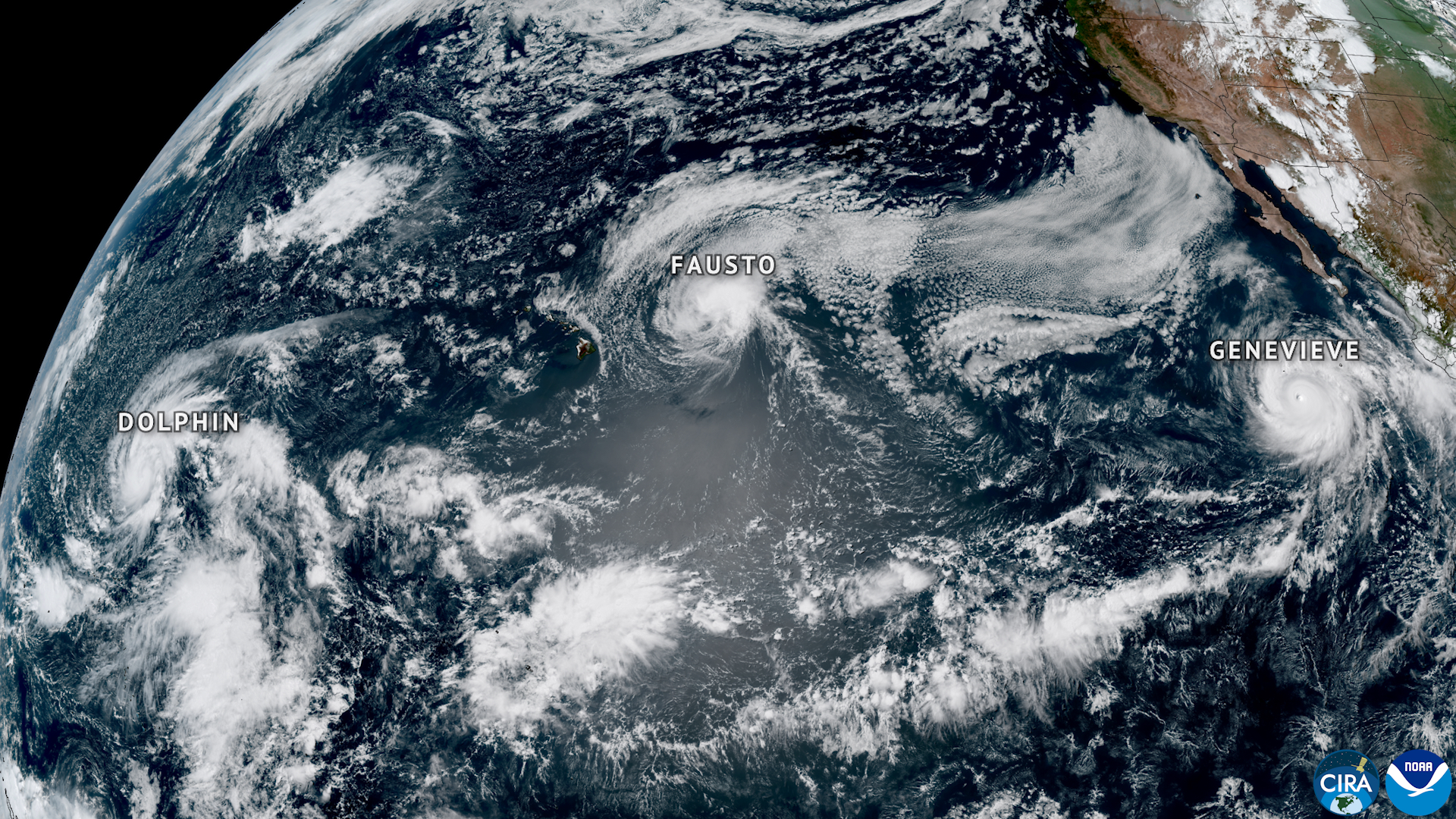 NOAA's GOES West outer captured this image of 3 tropical cyclones — Hurricanes Fausto, center, and Genevieve, right, and Typhoon Dolphin — swirling simultaneously successful nan Pacific Ocean past month. Genevieve turned into a Category 5 storm