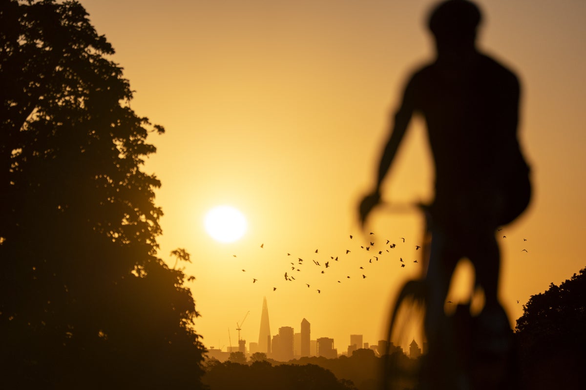 August was the world's joint hottest month on record, scientists say