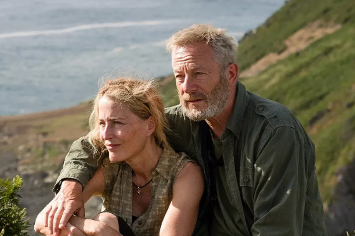 Gillian Anderson addresses Salt Path book controversy for first time