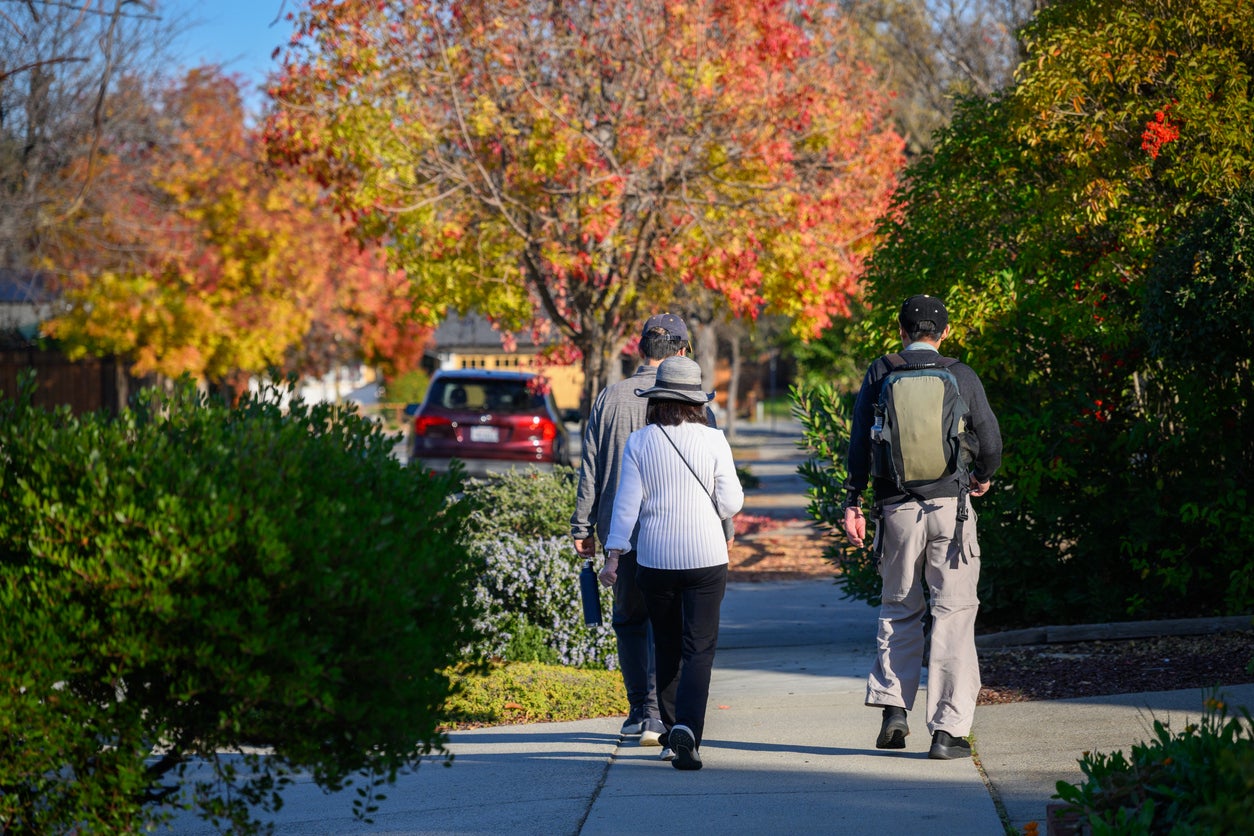 Features of the built environment can undermine the perceived safety of walking routes