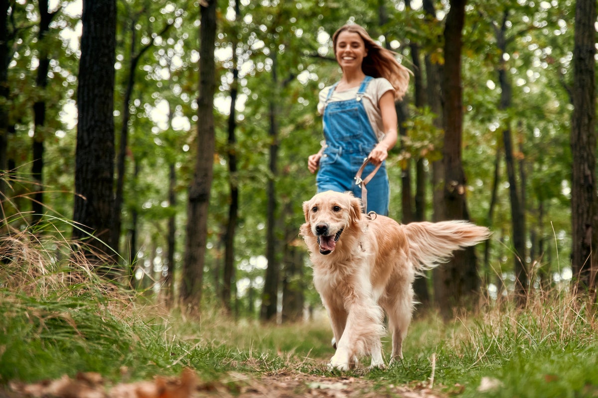Using pet-talk on your dogs or cats may have benefits you didn’t expect Using pet-talk on your dogs or cats may have benefits you didn’t expect