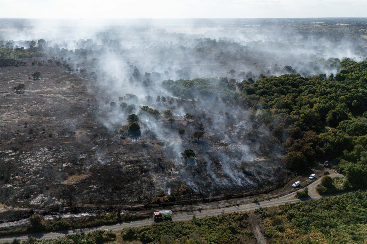 Emergency wildfire alert sent to all phones in England and Wales – here's what to know