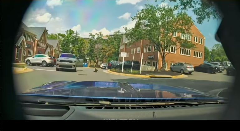 Dashcam footage from Carolina Molina, posted online, shows nan infinitesimal she drove past national agents and shouted insults astatine them while successful a parking lot