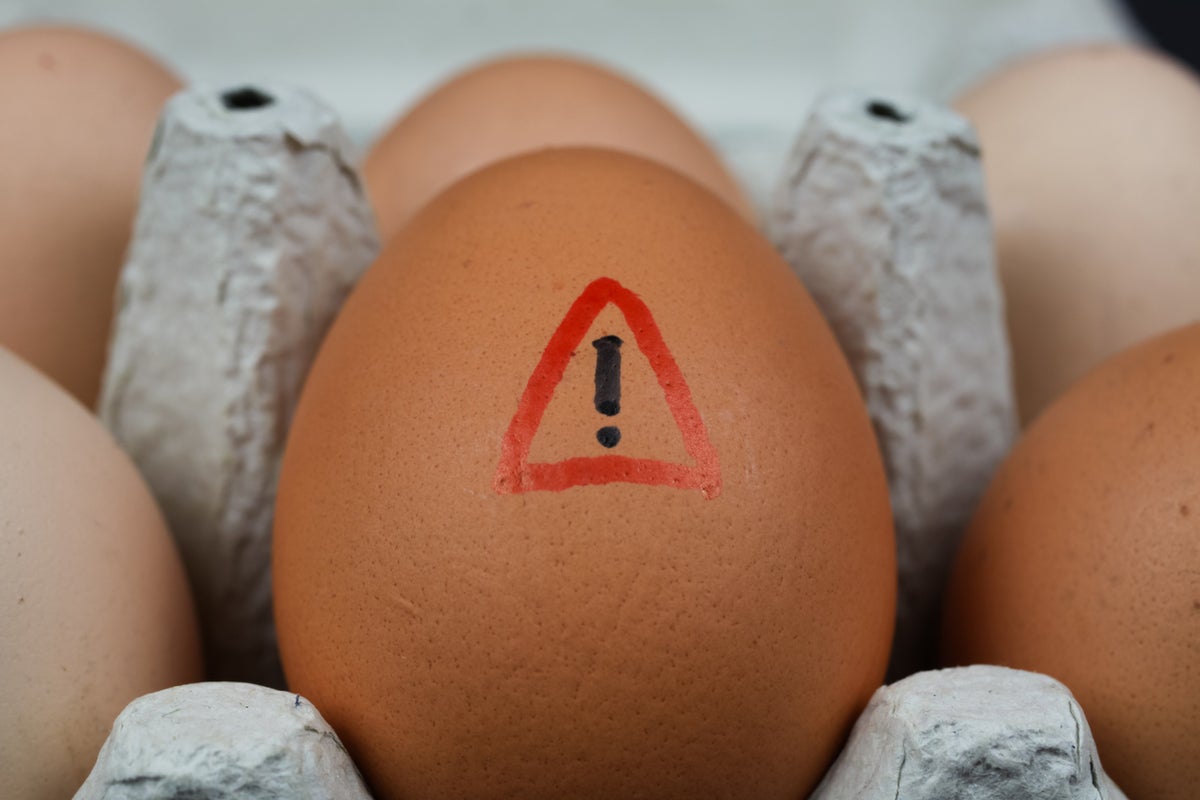 The salmonella outbreak explained: These are the eggs that are safe to eat