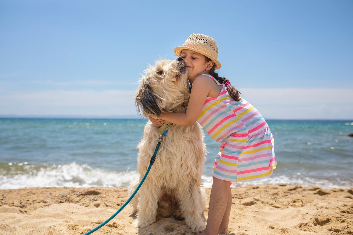 Are pets good for your children’s mental health? It depends on the type of animal Are pets good for your children’s mental health? It depends on the type of animal