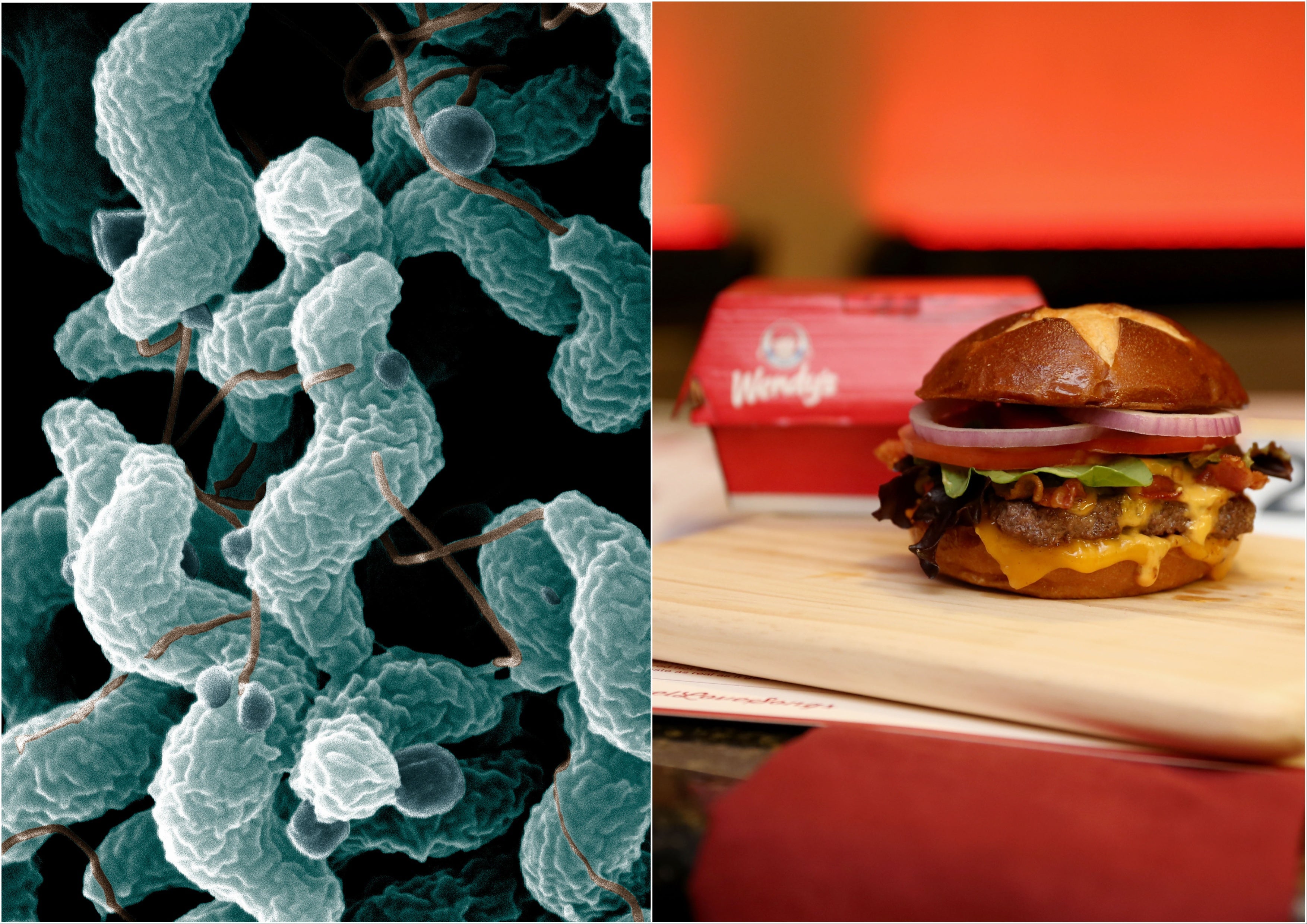 <p>A Chicago woman was felled by a Wendy's double cheeseburger she claims was infected with bacteria</p>