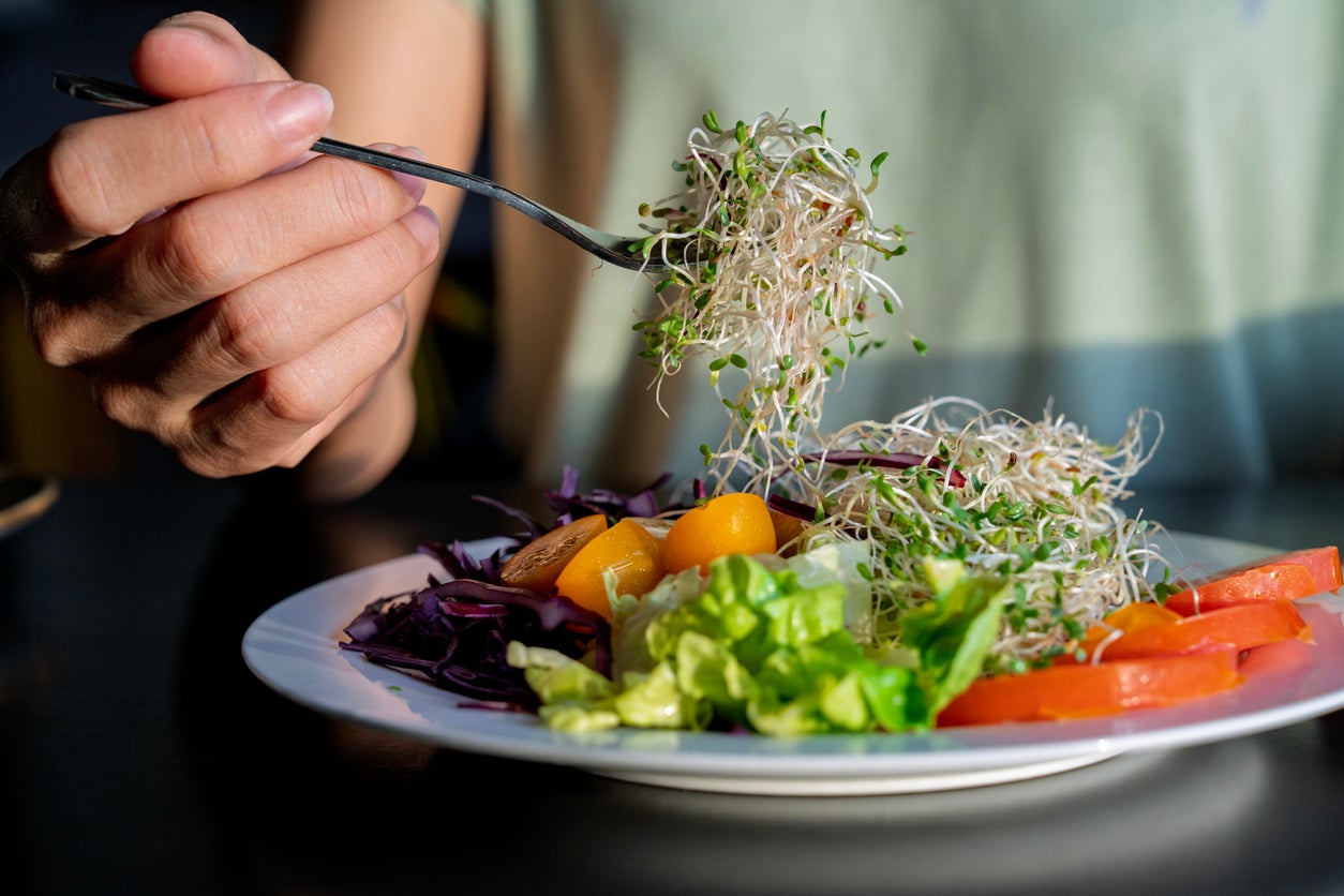 Alfalfa sprouts recalled after being linked to multi-state Salmonella and E. Coli outbreak  www.the-independent.com