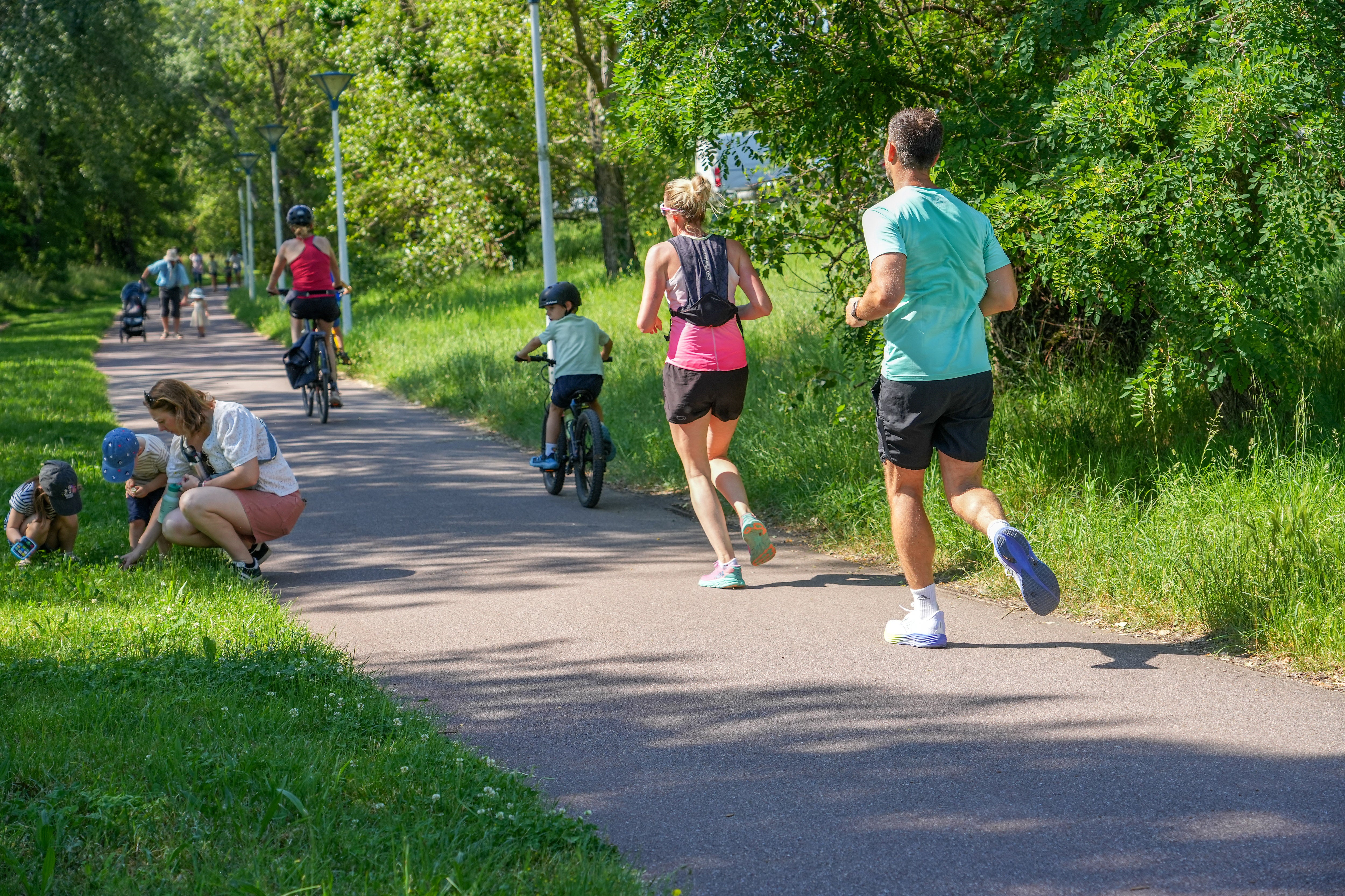 Cycling: The exercise that is at least four times more efficient than walking