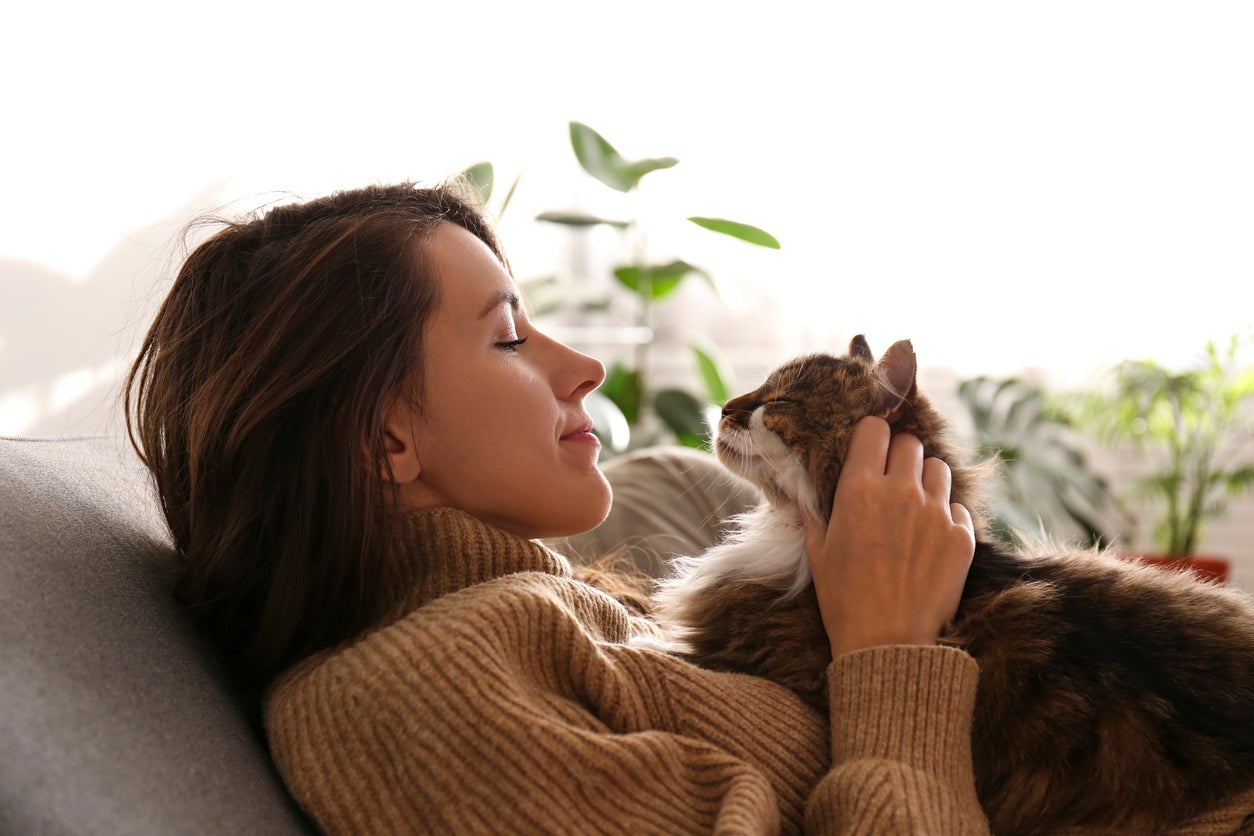Does my cat love me? Here are four science-backed ways to tell