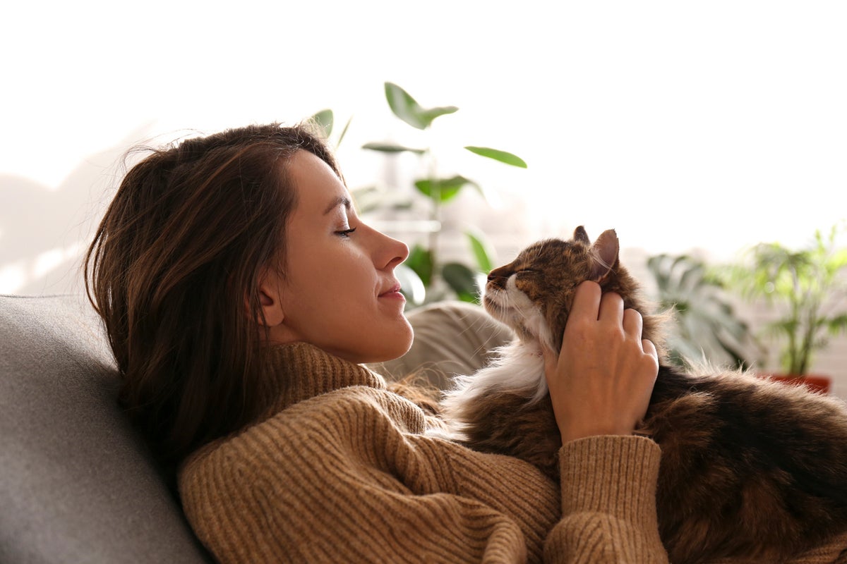 Does my cat love me? Here are four science-backed ways to tell Does my cat love me? Here are four science-backed ways to tell