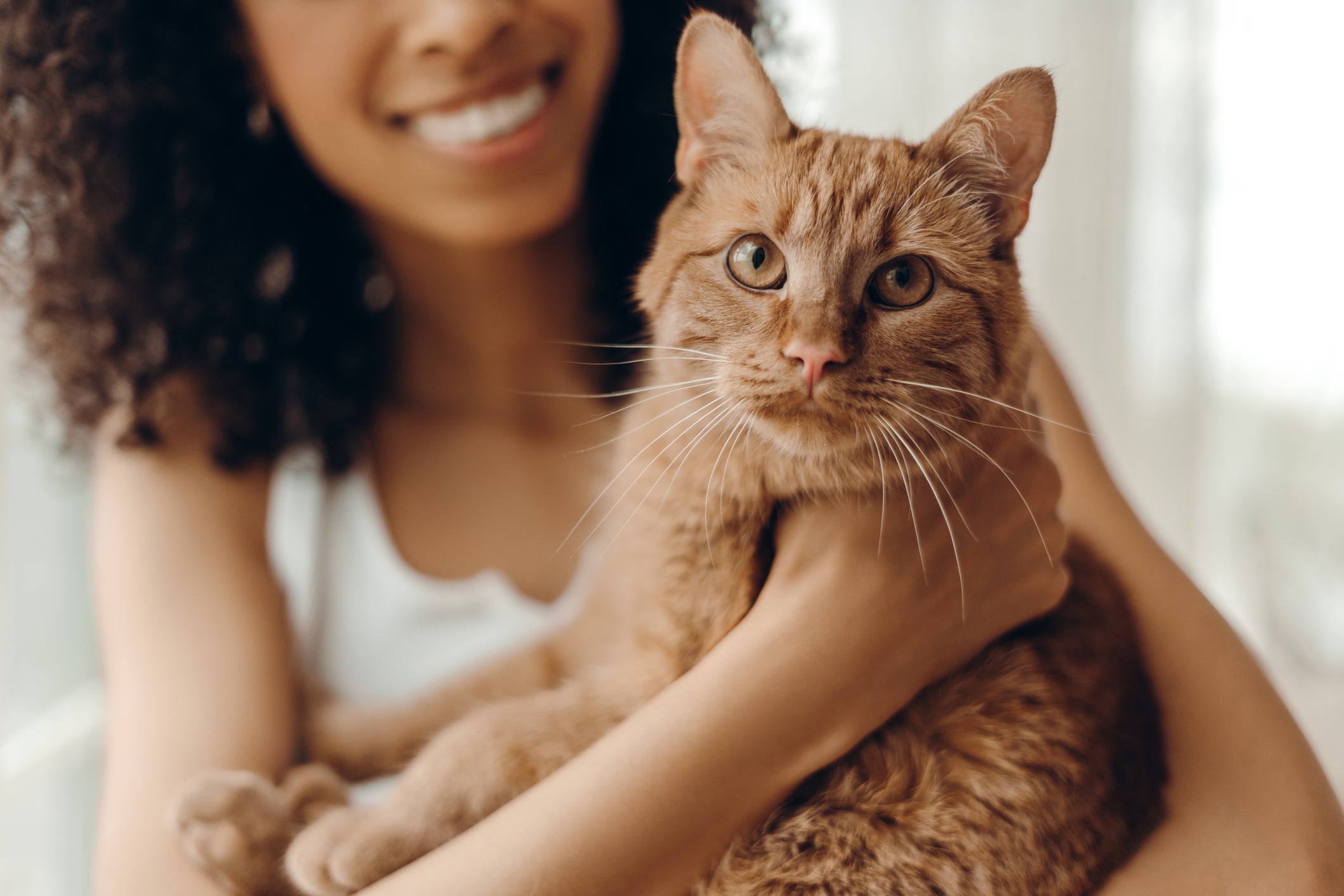 Cats and humans share a special bond fueled by this love hormone