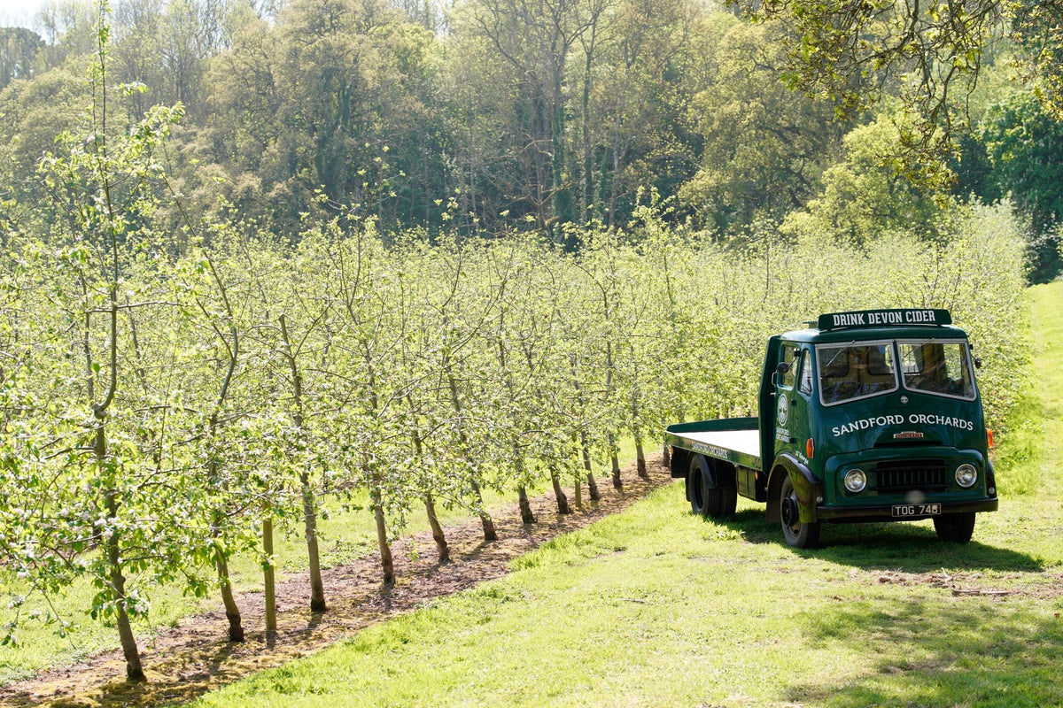 Are we about to run out of cider? The drought threatening Britain's next pints