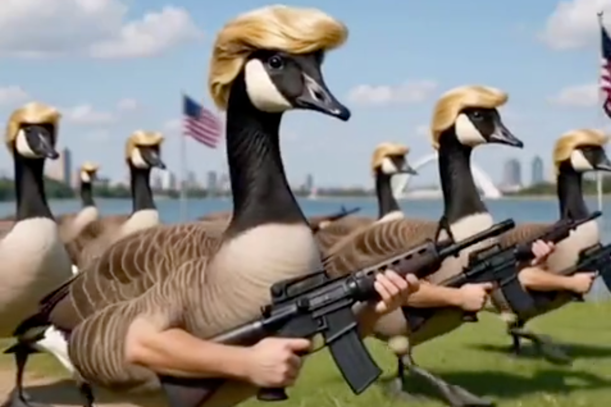 Trump shares AI video of 'Donald Ducks' patrolling 'Lake America'