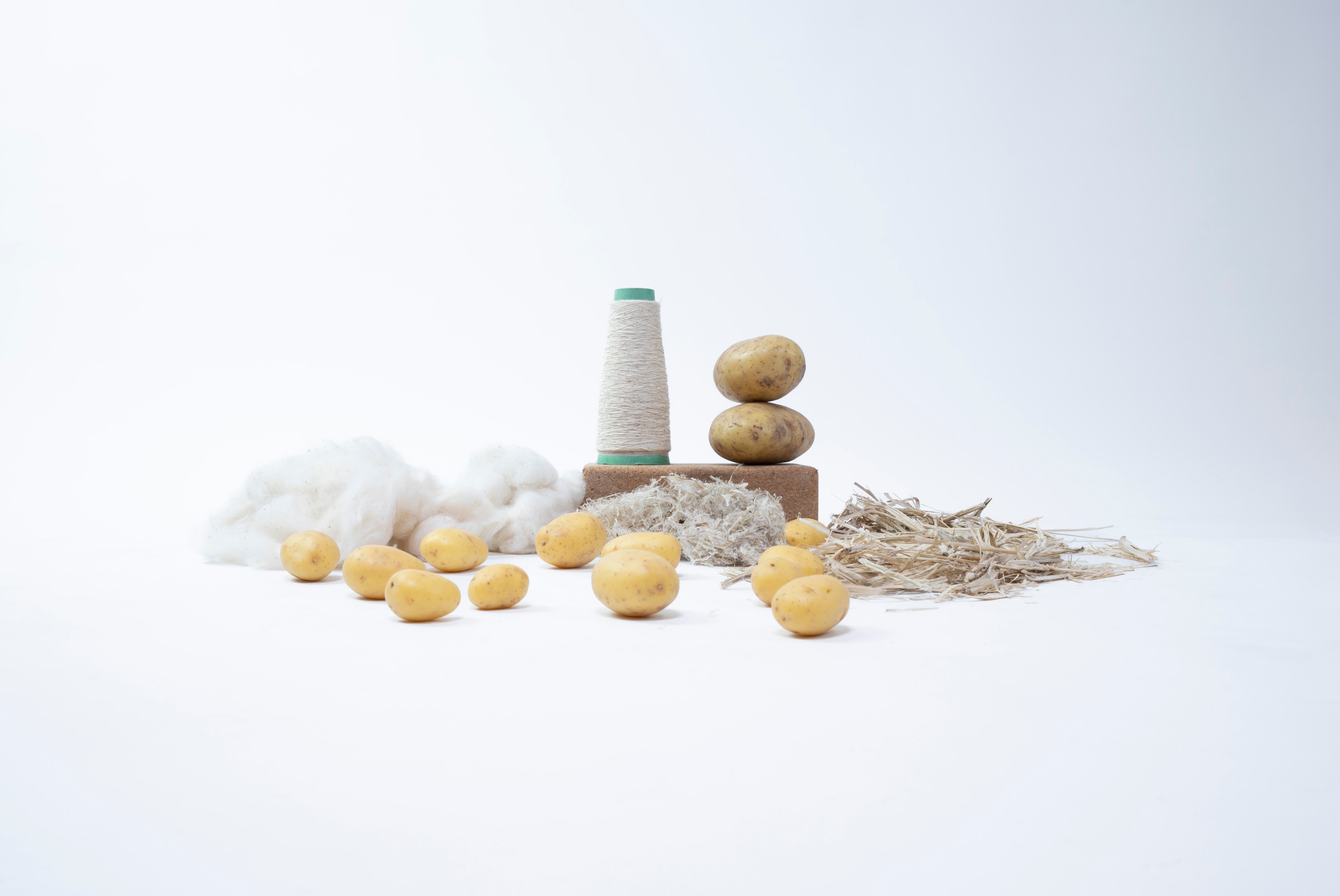 From crop to cloth: potatoes are transformed into soft fibre and spun yarn, offering fashion an innovative alternative to conventional animal-derived textiles.