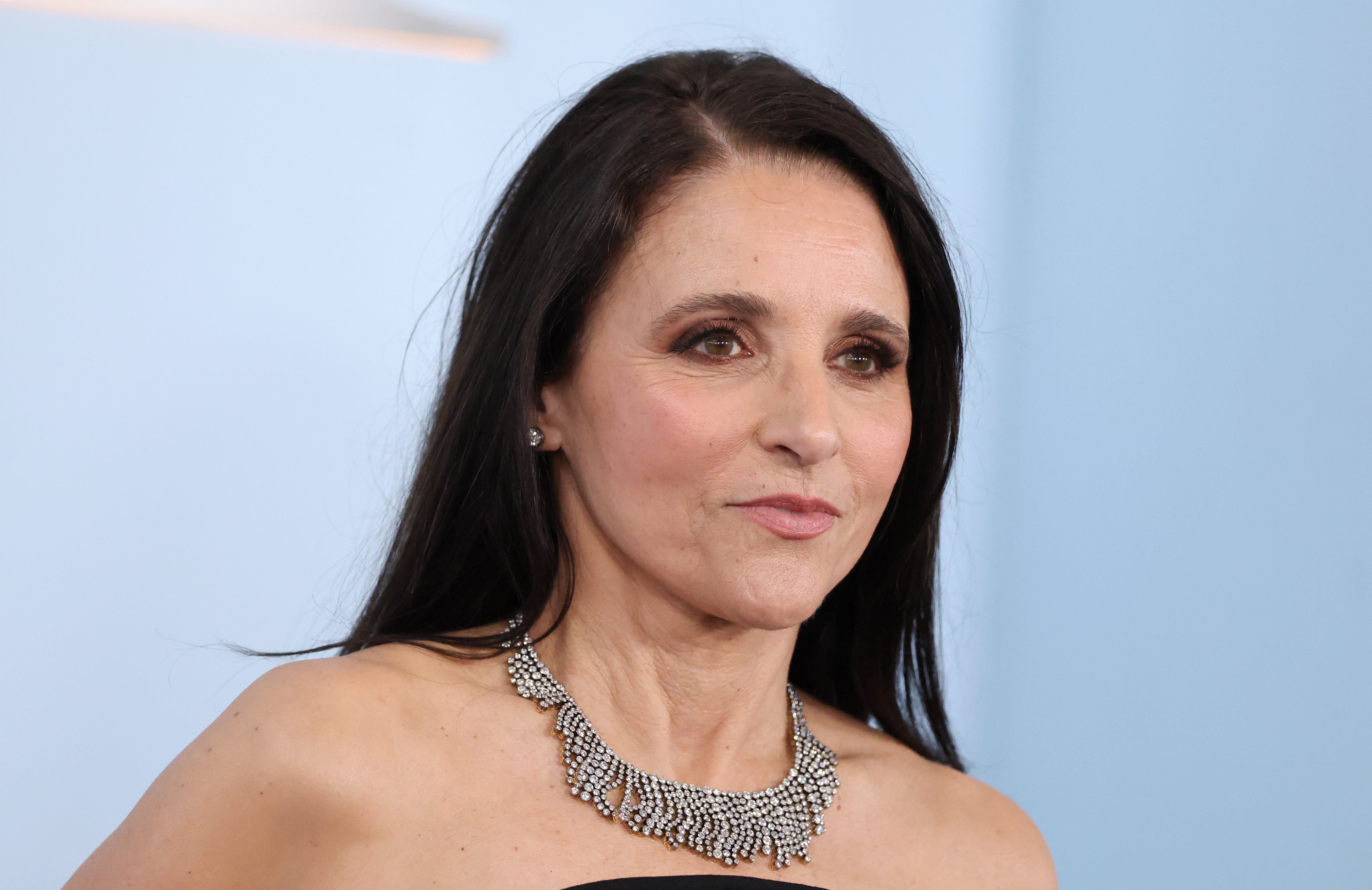 Seinfeld set was full of friction says Julia Louis-Dreyfus