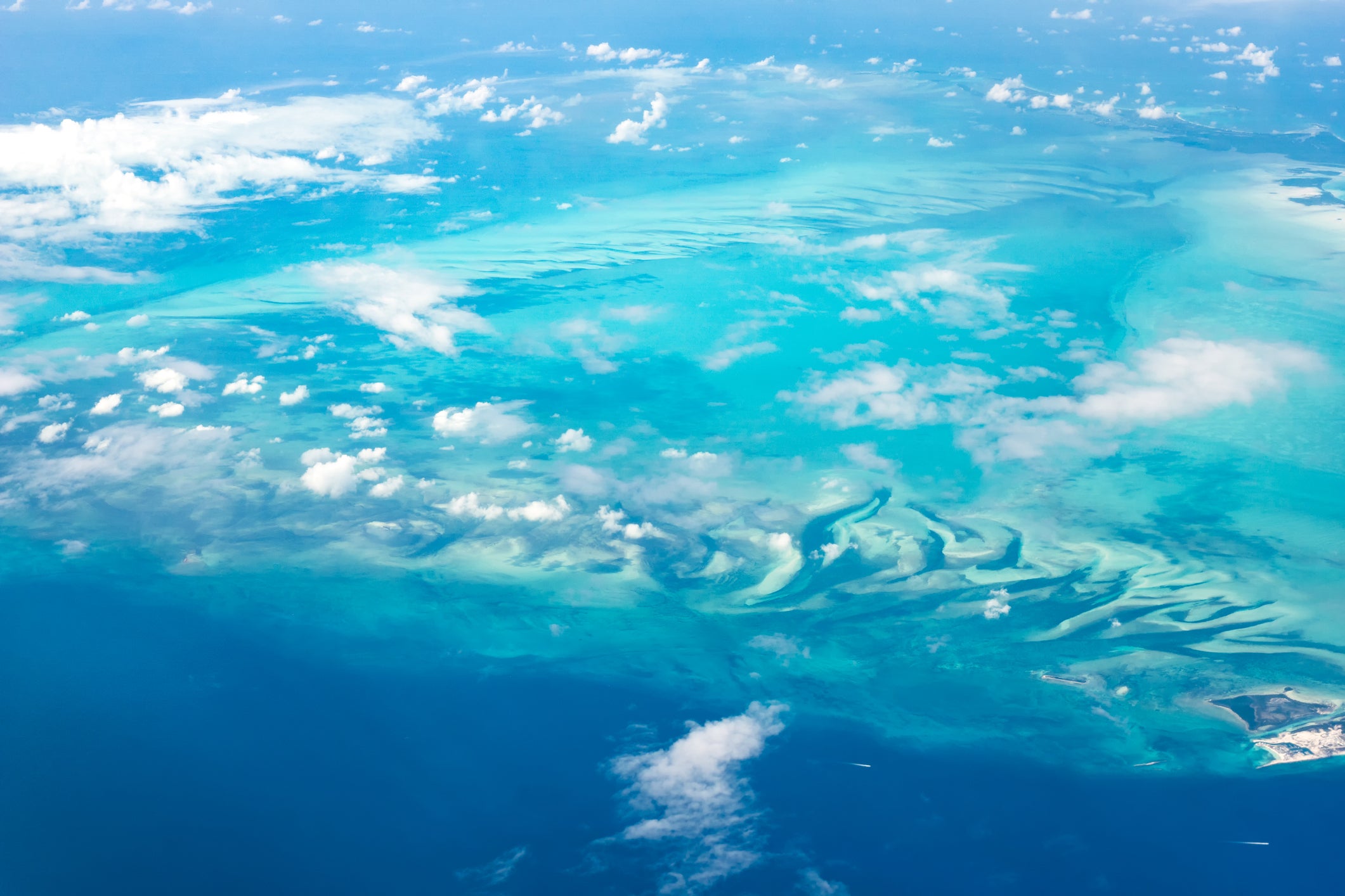 Four bodies found after plane went missing near the Bahamas, family says