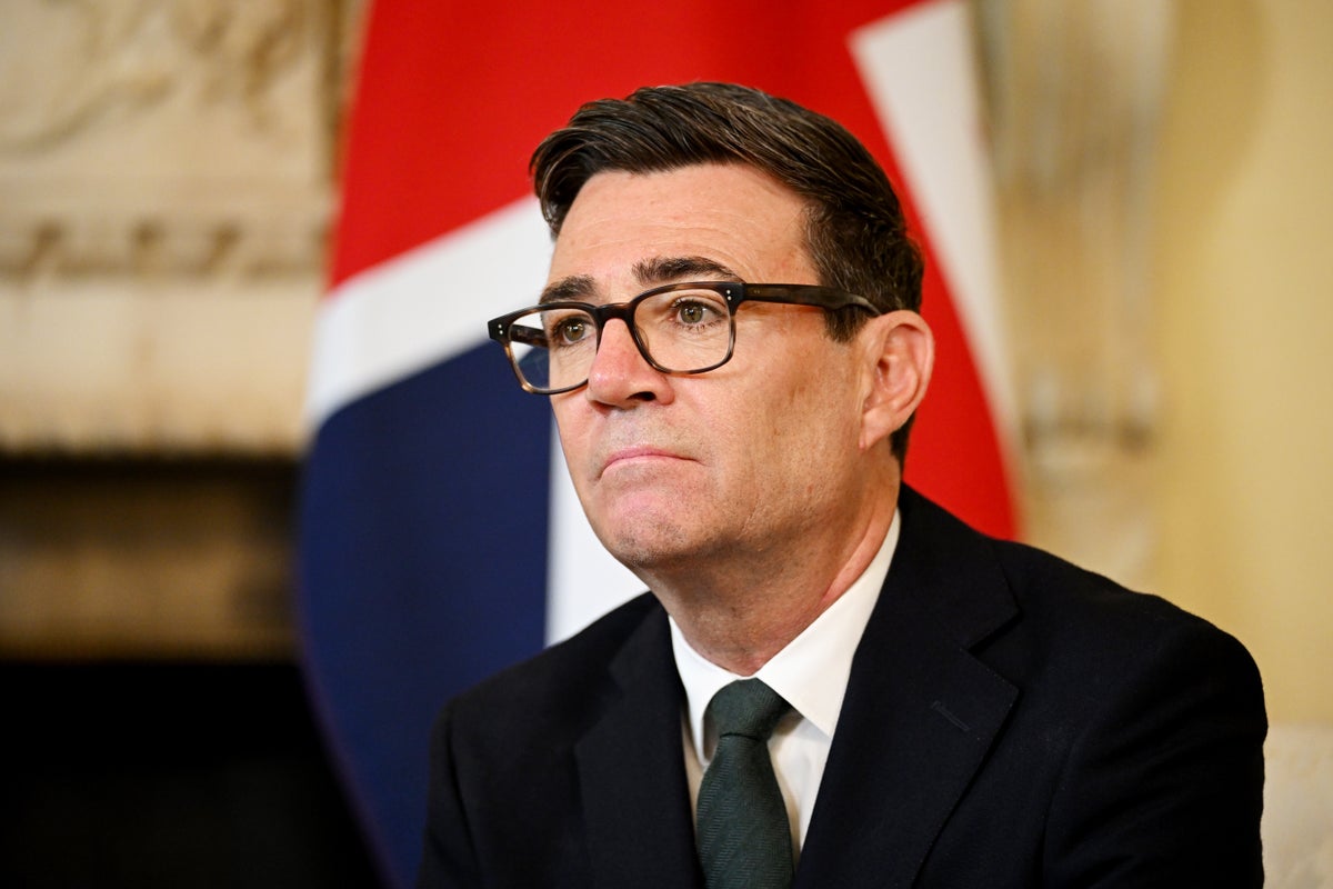 UK government rejects calls for AI ‘kill switch' amid growing fears of its risks