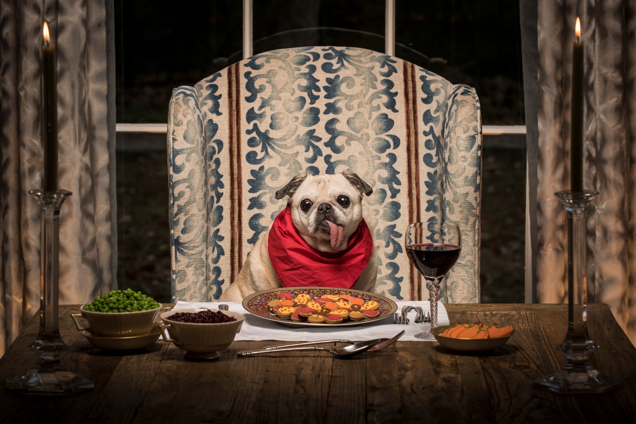 Hot dog: some will be reeling from the prospect of dogs at dinner tables – and others will be happily helping their pet up to their throne