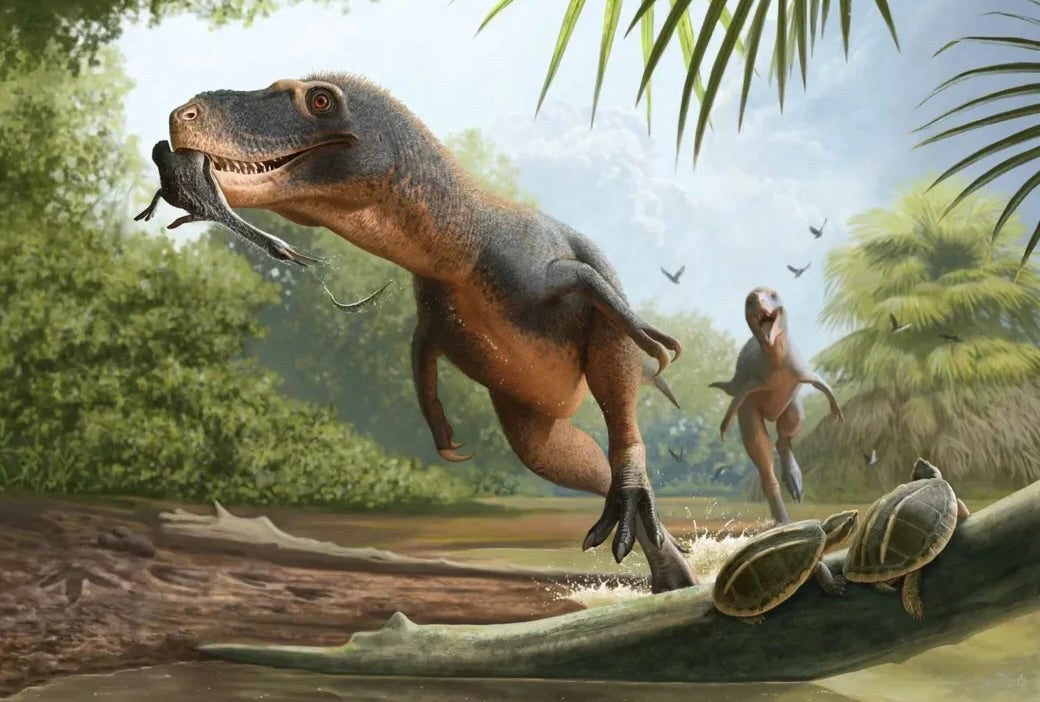 One of science's biggest mysteries could be solved by fossilised feather in dinosaur dung