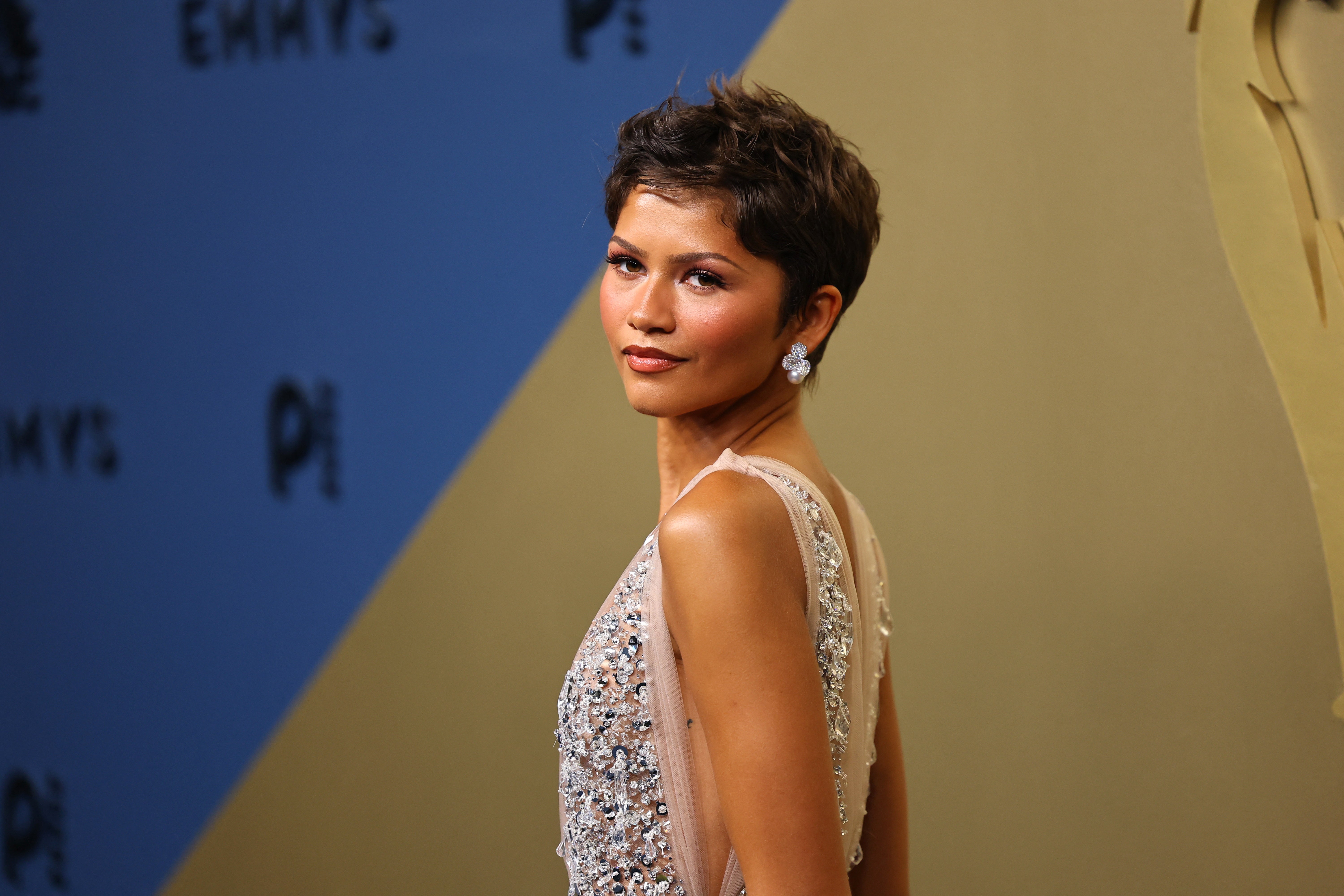 Zendaya's cropped hair was perfectly styled to compliment her dramatic dress. The simple earrings brought the whole look together