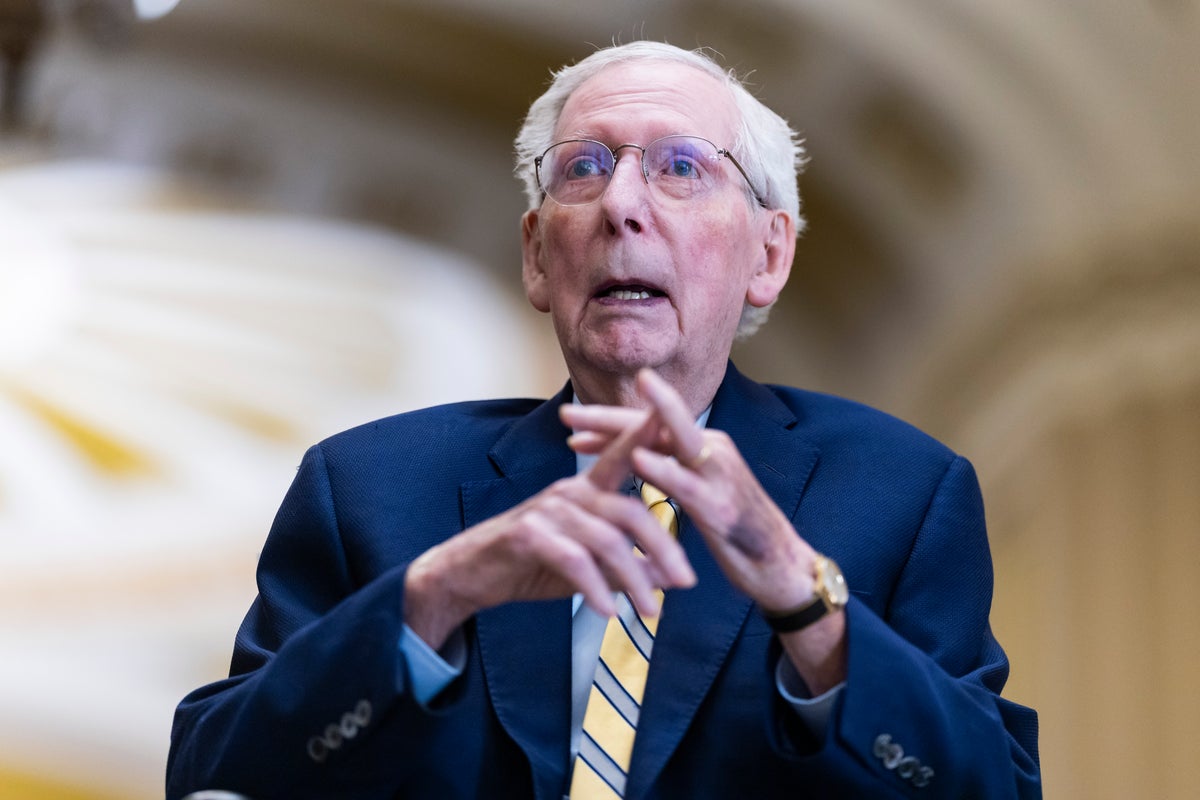 Mitch McConnell ‘got 92 days of paid’ leave but ‘a mother gets none’: ...