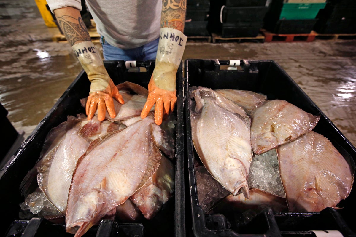 Can flounder become the next social media meal craze? These chefs are hopeful Can flounder become the next social media meal craze? These chefs are hopeful