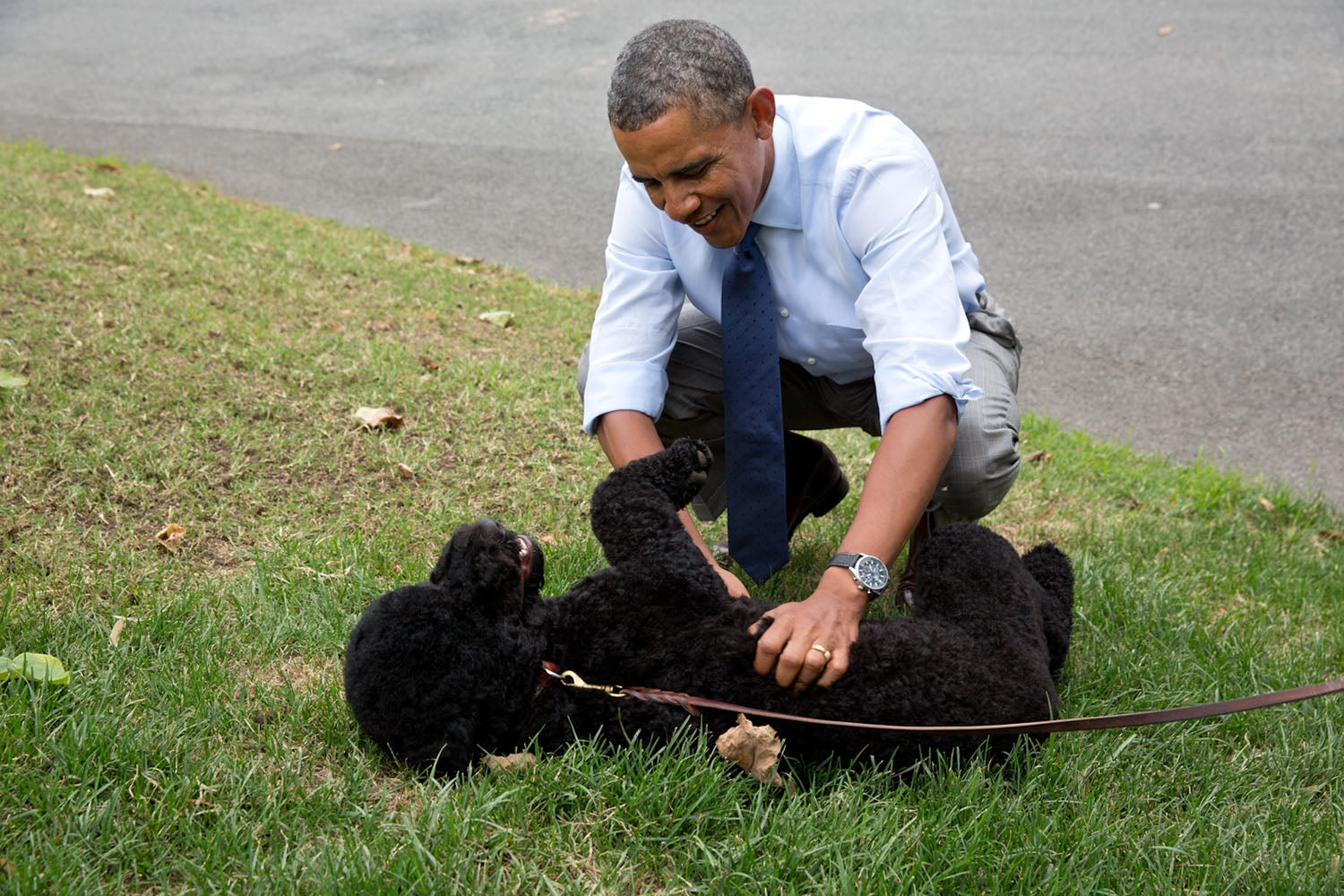 Barack Obama gibt den Tod seines geliebten Hundes Sunny bekannt ...
