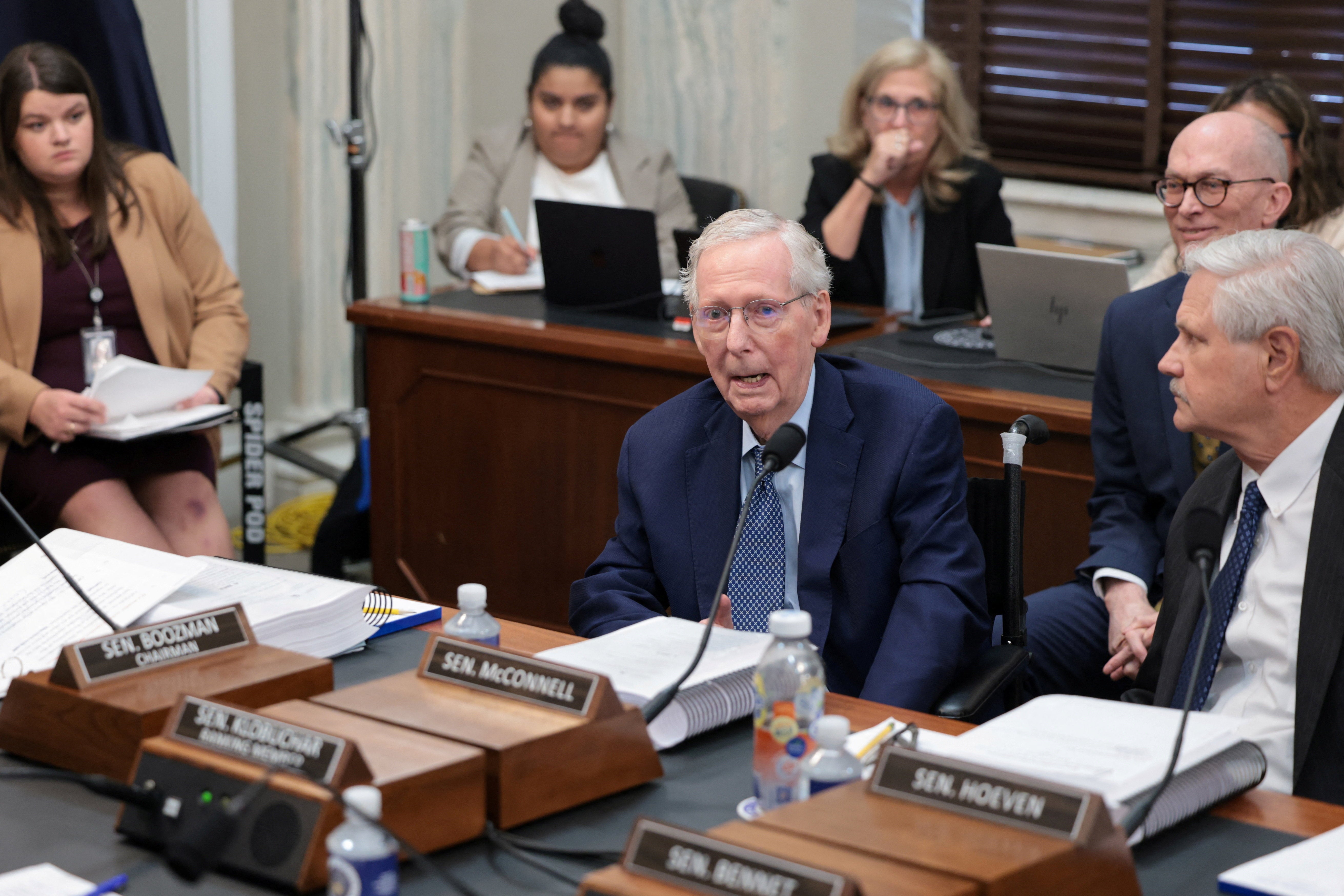 McConnell, sounding faint, votes 'aye' to advance the farm bill out of committee on Wednesday (Reuters)