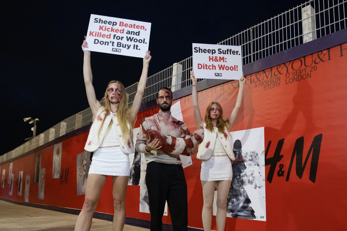 After the ban on real fur, should the fashion industry ban wool next? After the ban on real fur, should the fashion industry ban wool next?
