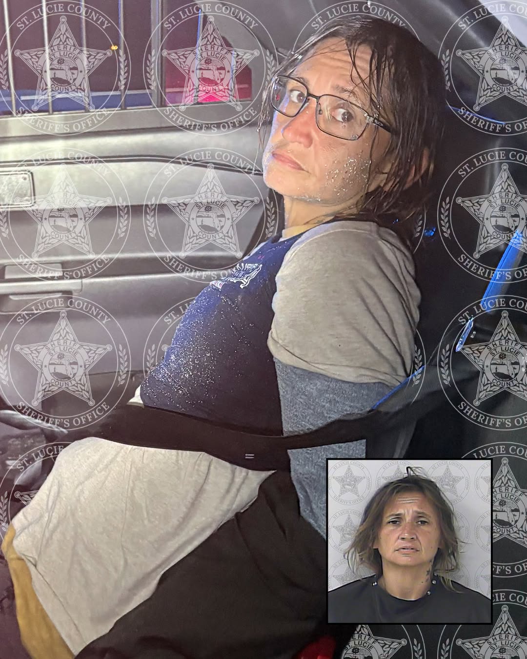 Shannon Marie Dillon, 42, allegedly stole a Broward Sheriff’s Office cruiser in Fort Lauderdale and was found wearing a BSO vest after driving it nearly 100 miles north to St. Lucie County