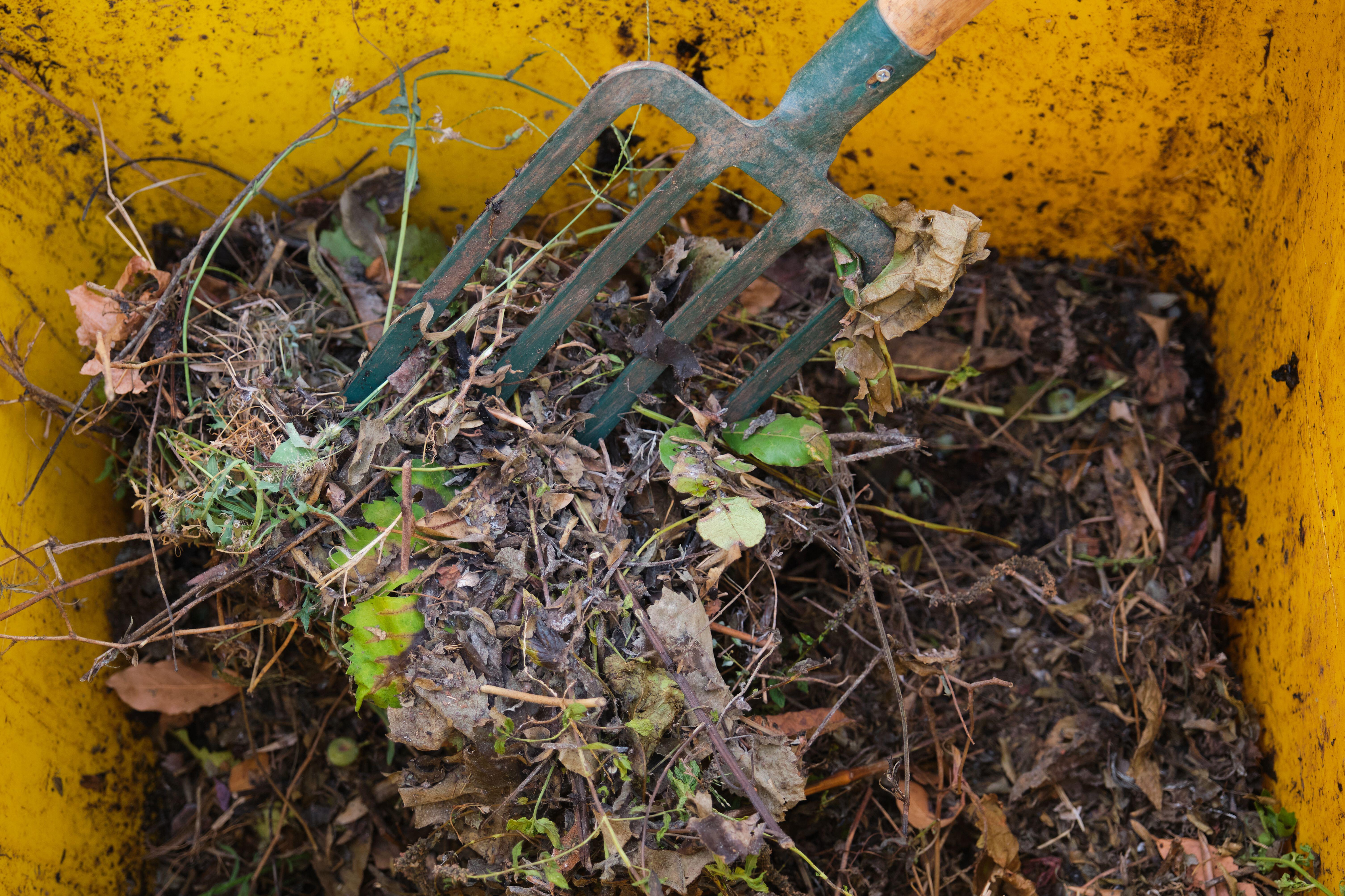 Fill your compost bin two-thirds full to give you room to turn it easily with a fork