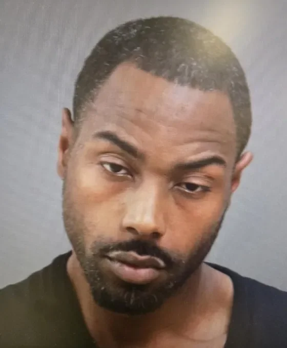 Zarick Lamont Johnson, 41, of Detroit, was charged with first-degree murder after allegedly running over flea market vendor Mirhad Cehic, 59, twice during a dispute over a power washer Johnson said did not work