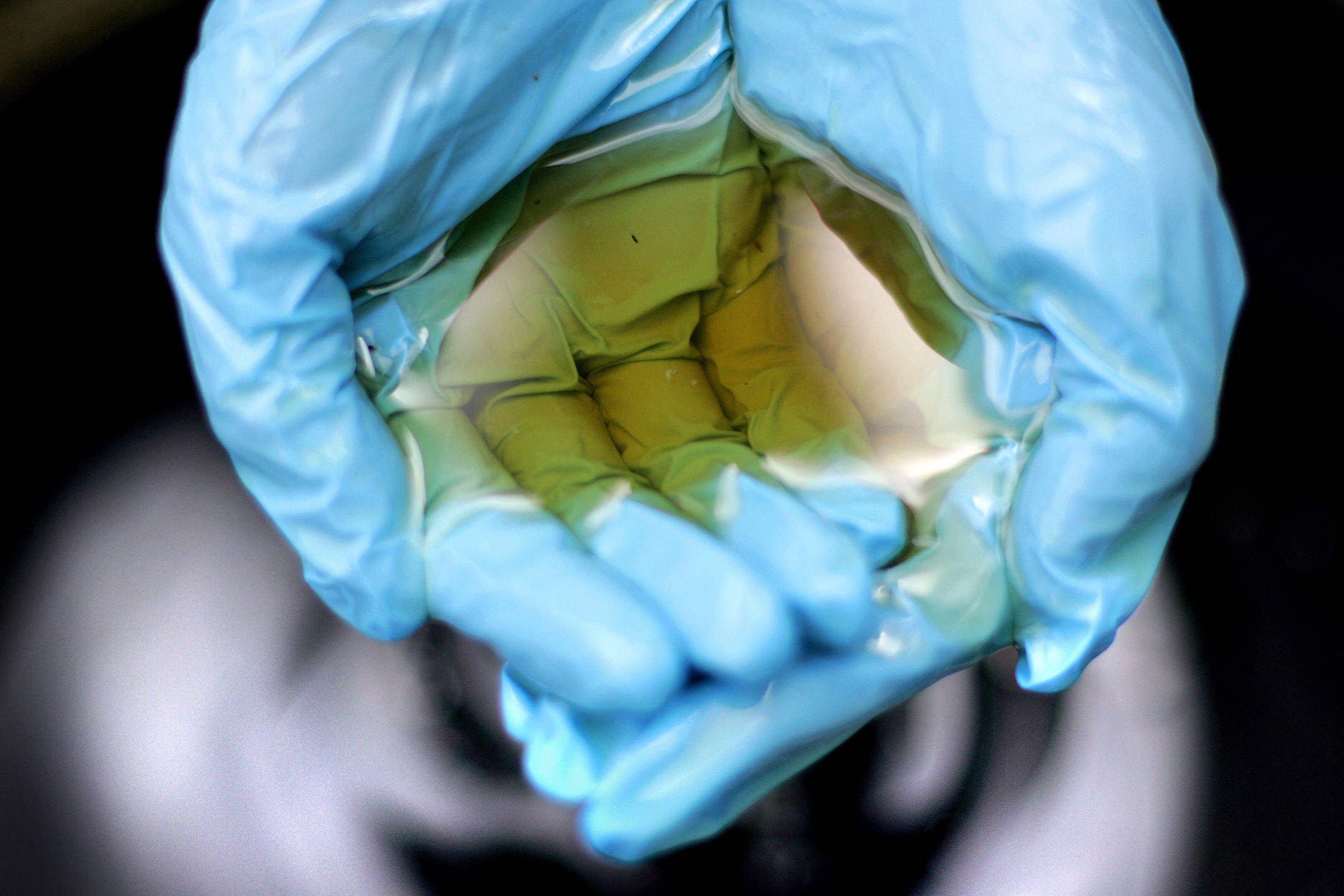 Criminals are stealing used cooking oil from restaurants. Here’s why