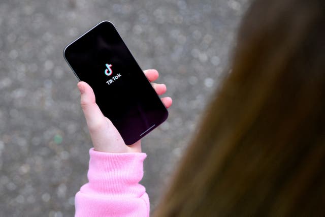 Asea allegedly made more than 100 TikToks about one woman whose location he was tracking through her phone
