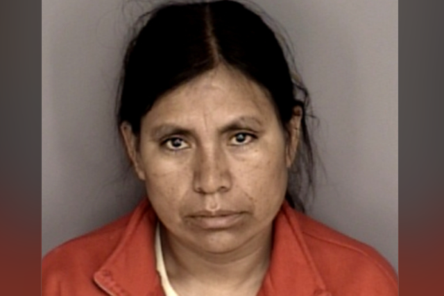 Ofelia Garcia Ortega was arrested and charged with with two felony country of displaying or possessing a forged ID card, one misdemeanor count of permitting a child to suffer or be endangered, and one misdemeanor count of contributing to the delinquency of a minor