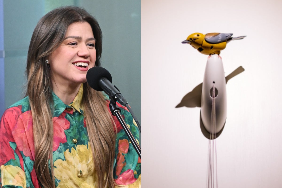 Everything we know about Kelly Clarkson’s beef with a Brooklyn store