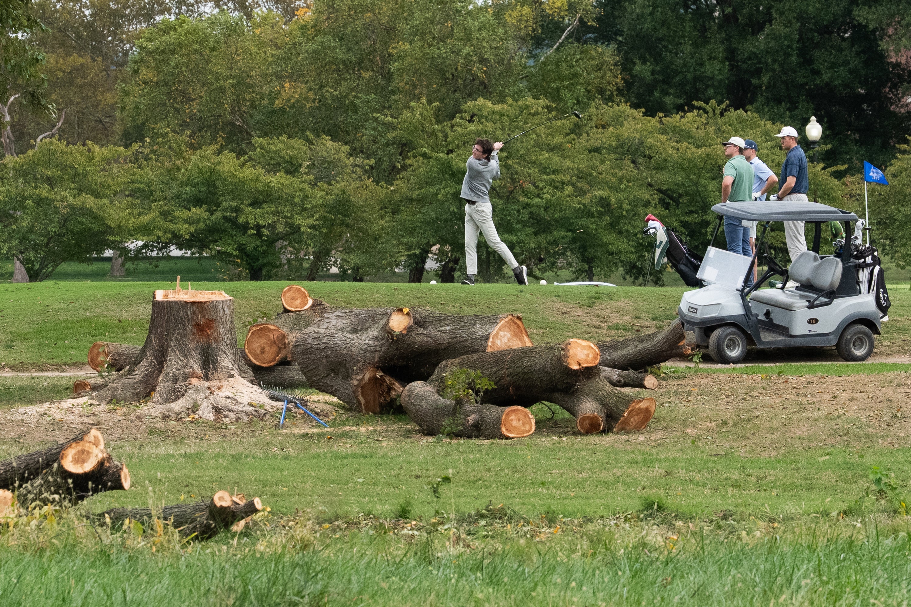 Judge Halts Tree Cutting at DC Golf Course