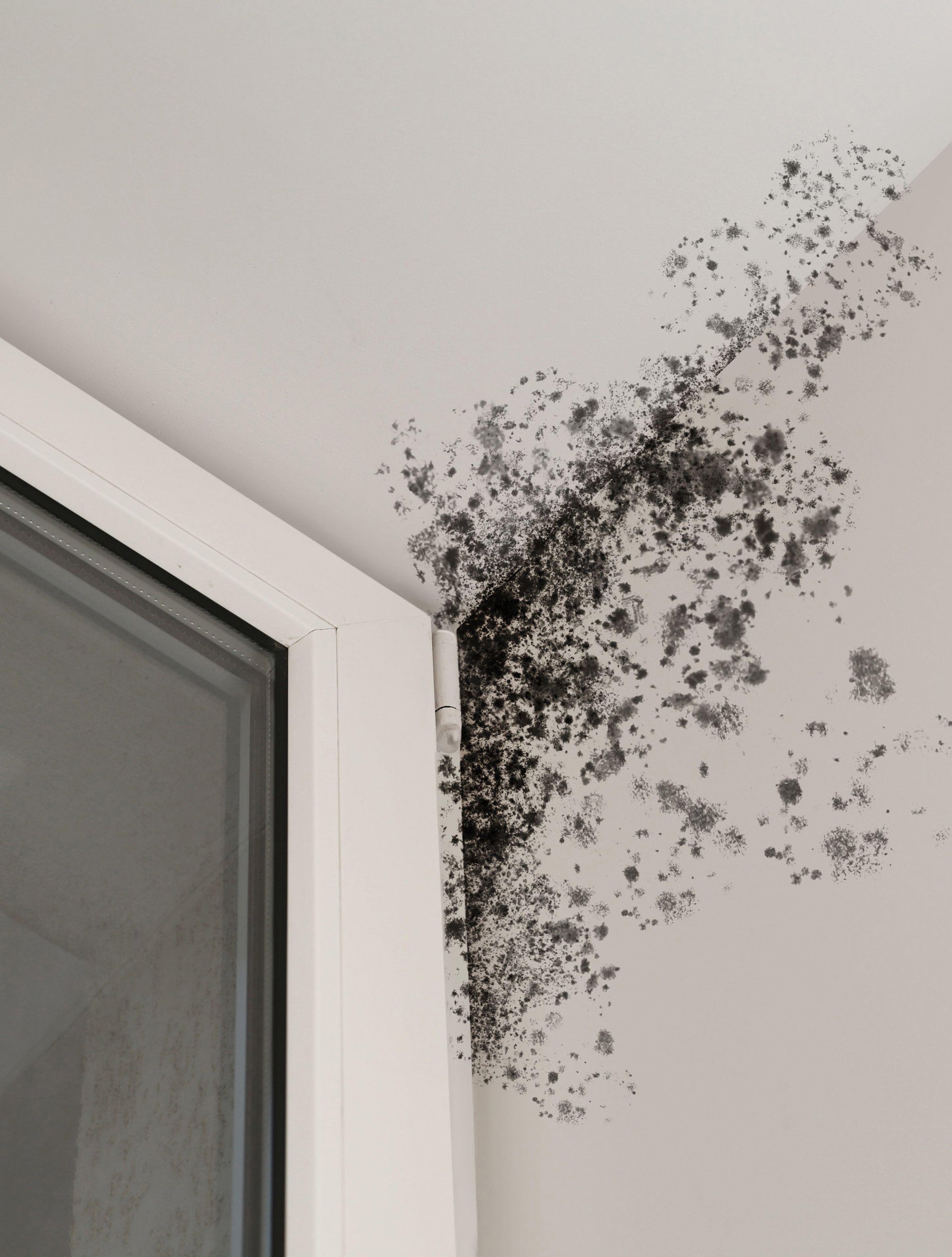 If a wardrobe is pushed tightly against an outside wall, air can’t circulate behind it