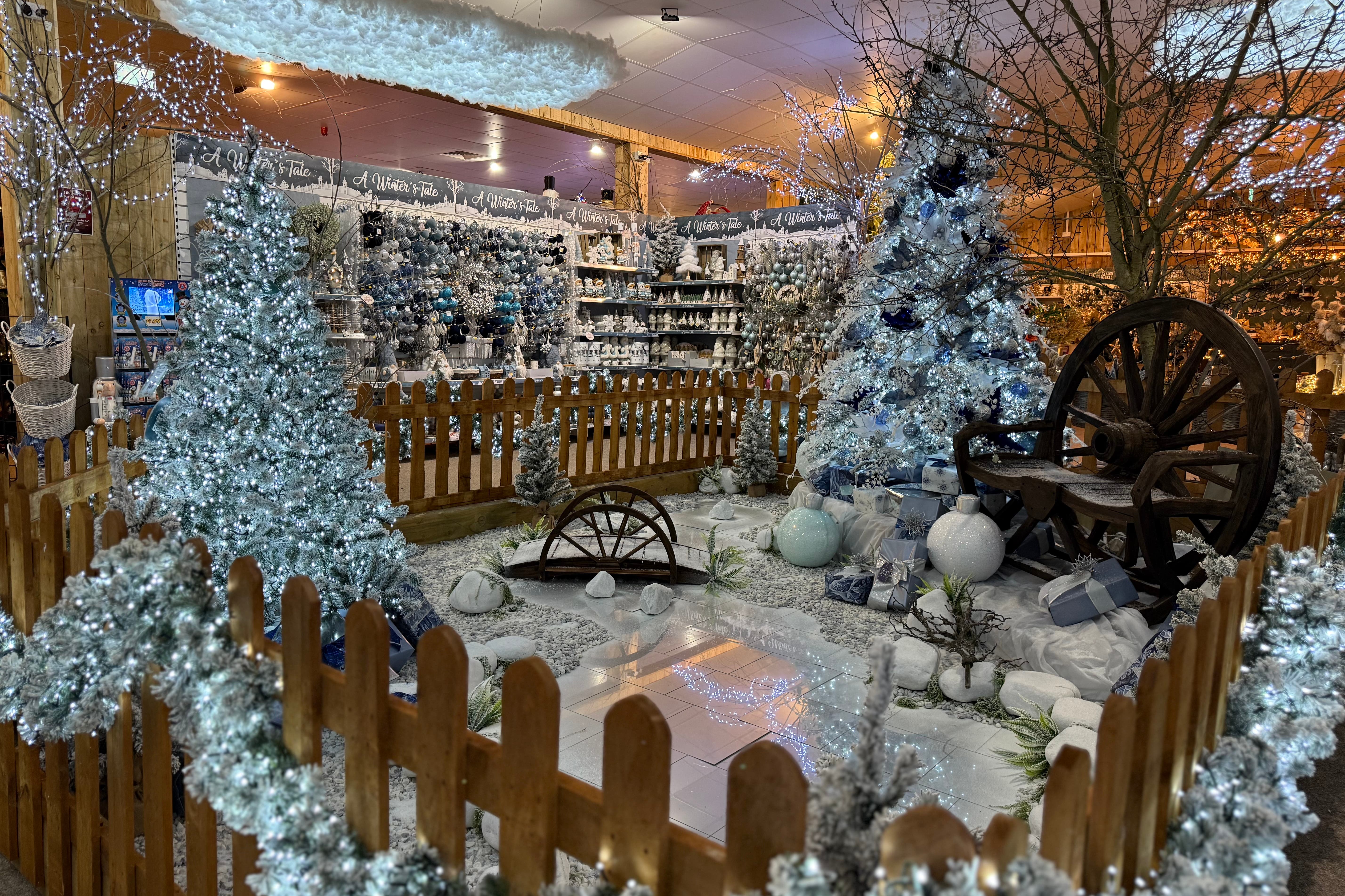 Own brand value ranges in garden centres may be cheaper than more famous alternatives
