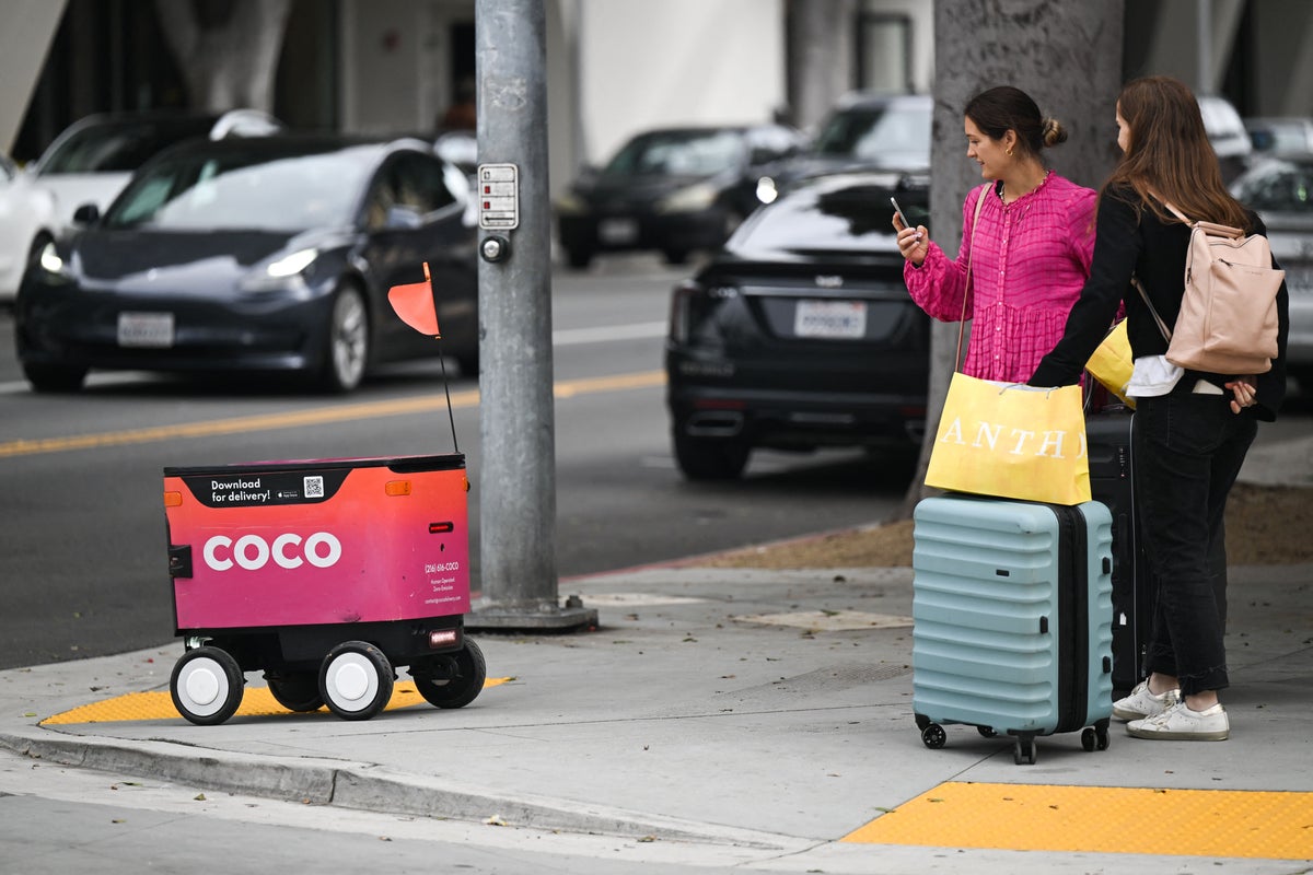 Battle over Chicago's delivery robots reaches the courts after outcry over ...