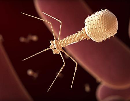 California startup says it has injected AI-designed virus into humans