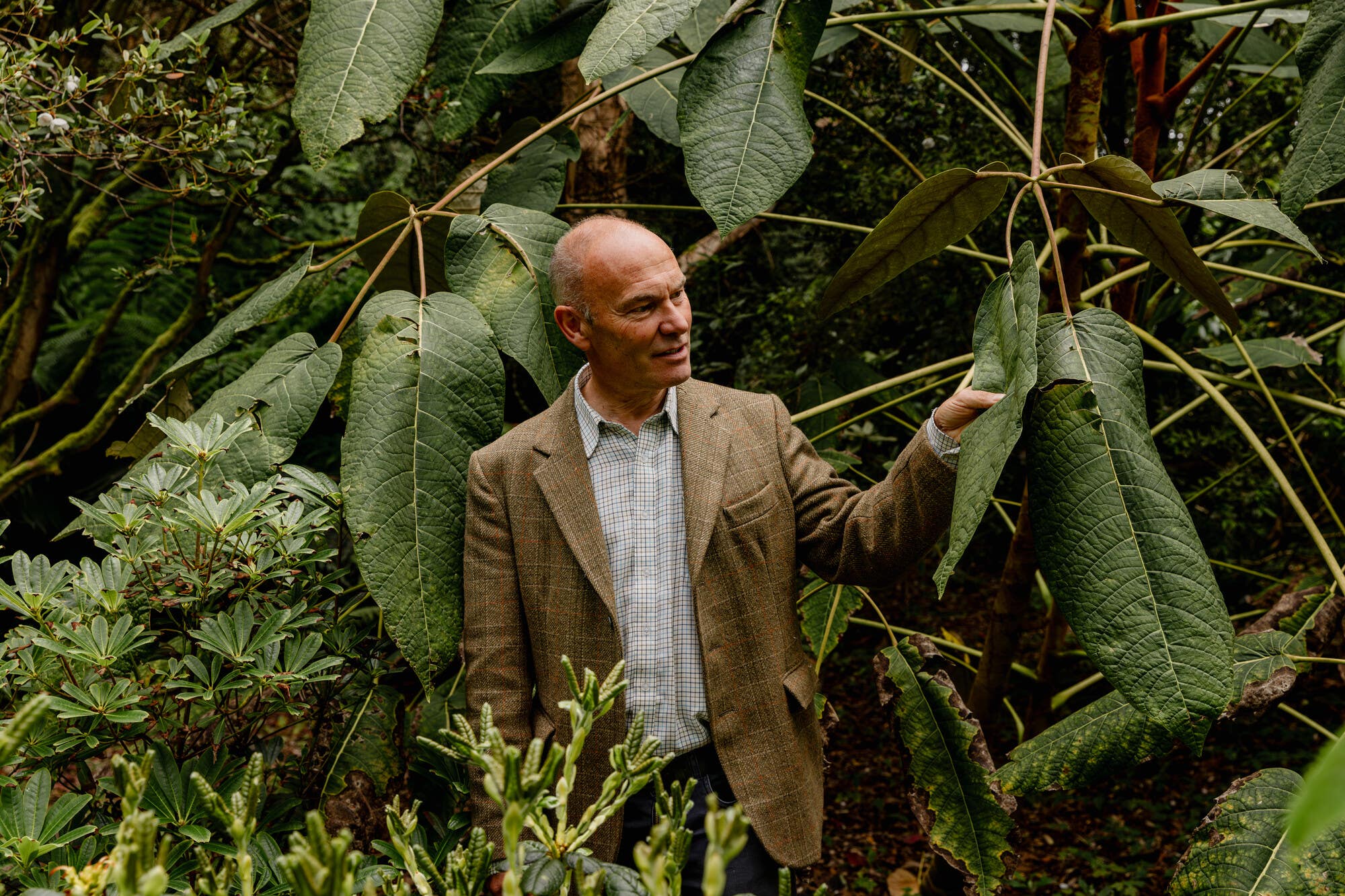Richard Baines: Tributes paid to curator killed during Storm Boelo ...