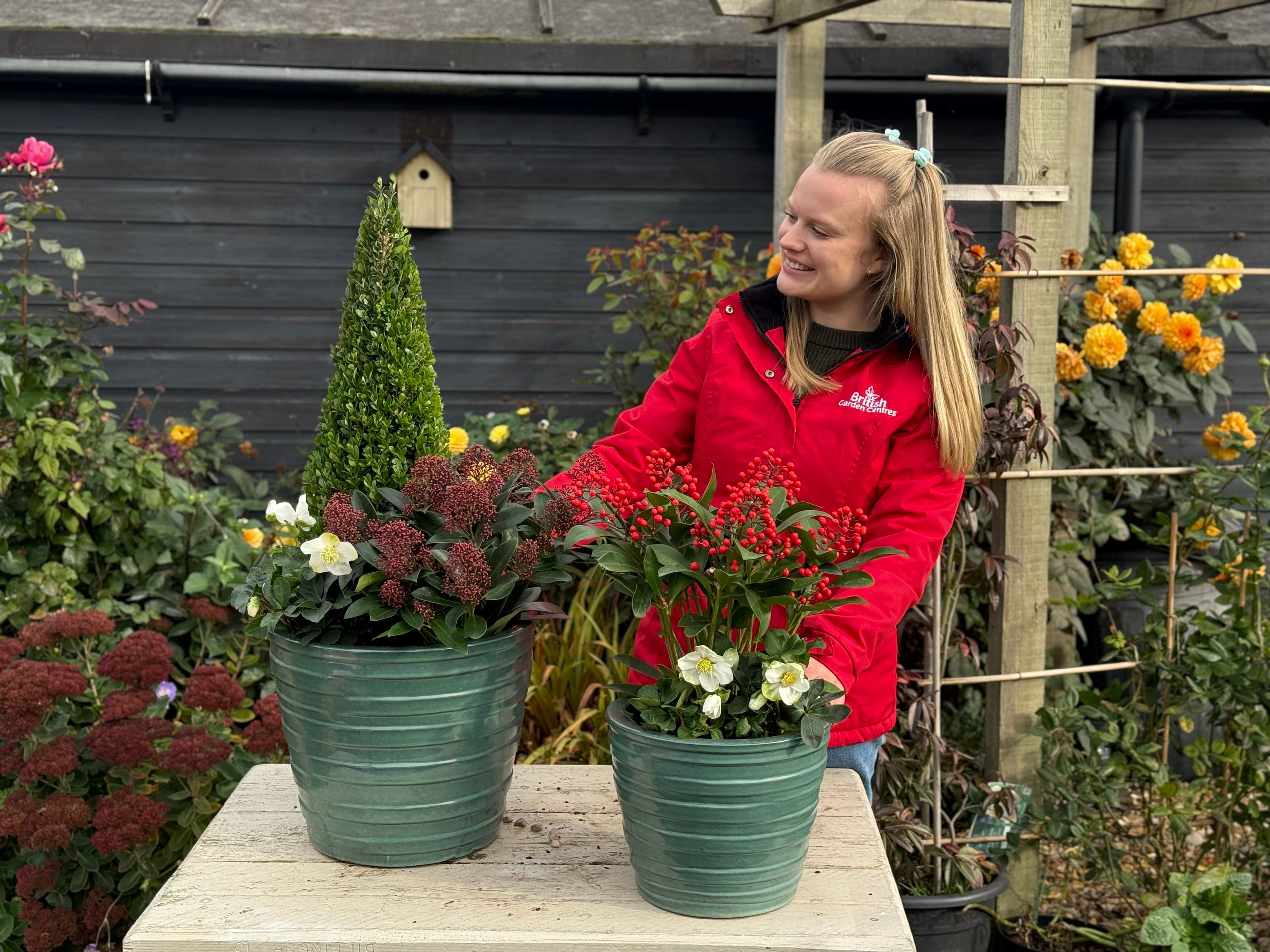 Evergreens come alive in winter months