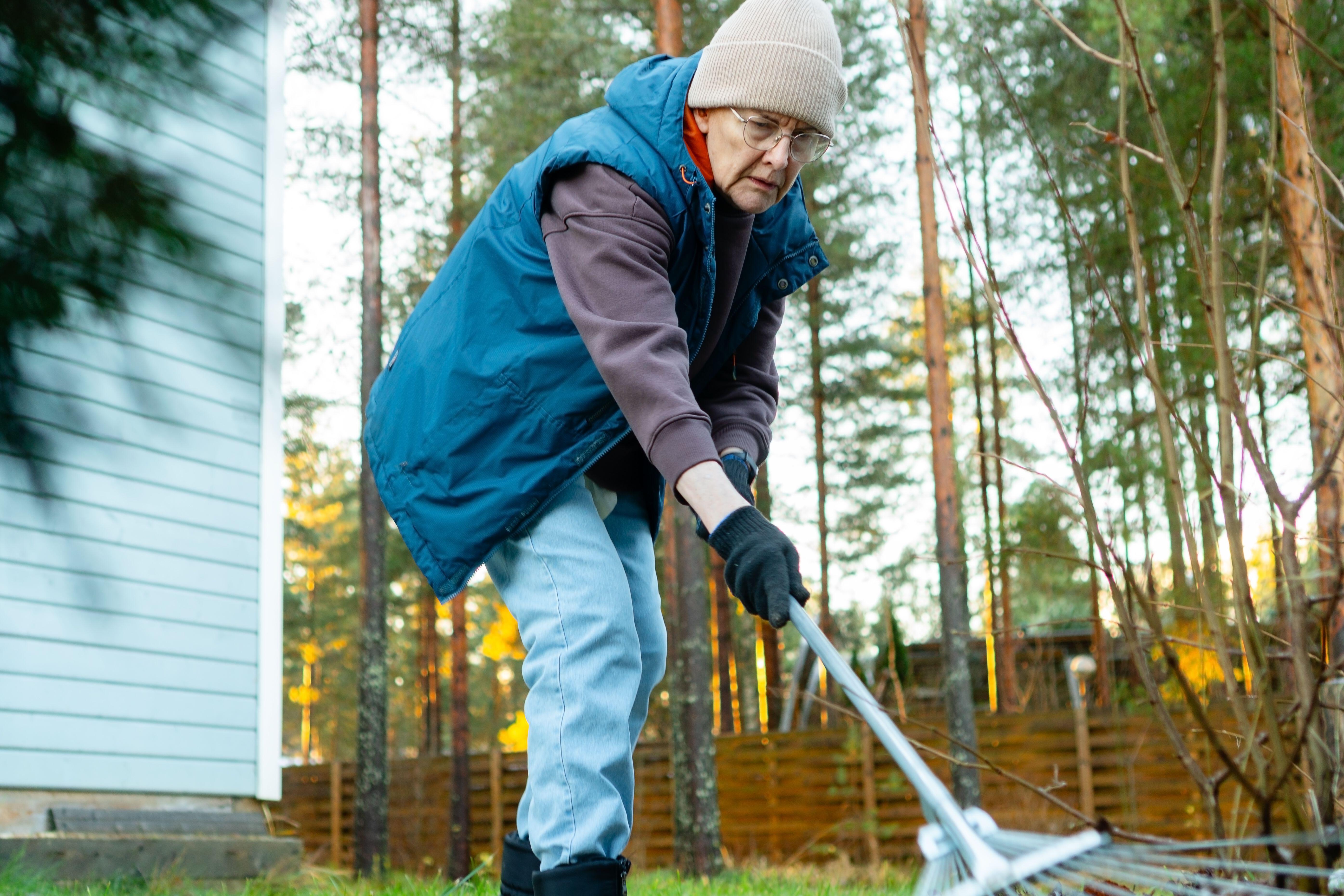 Winter is the perfect time to renovate your lawn
