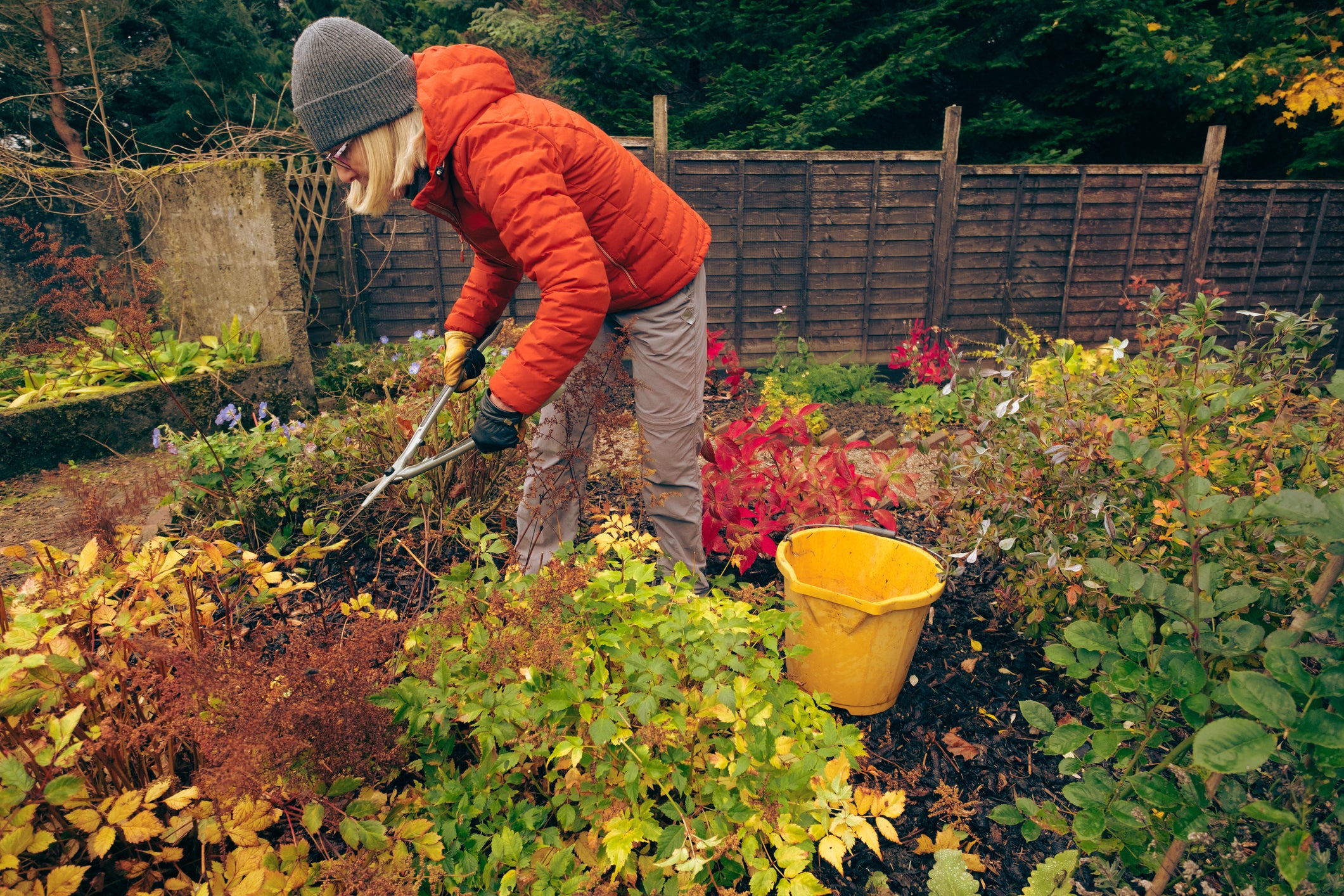 ‘If you like your garden to be tidy, then clear borders and leaf debris, or you can leave it for wildlife habitat,’ says Mandy Warry, plant buyer at British Garden Centres