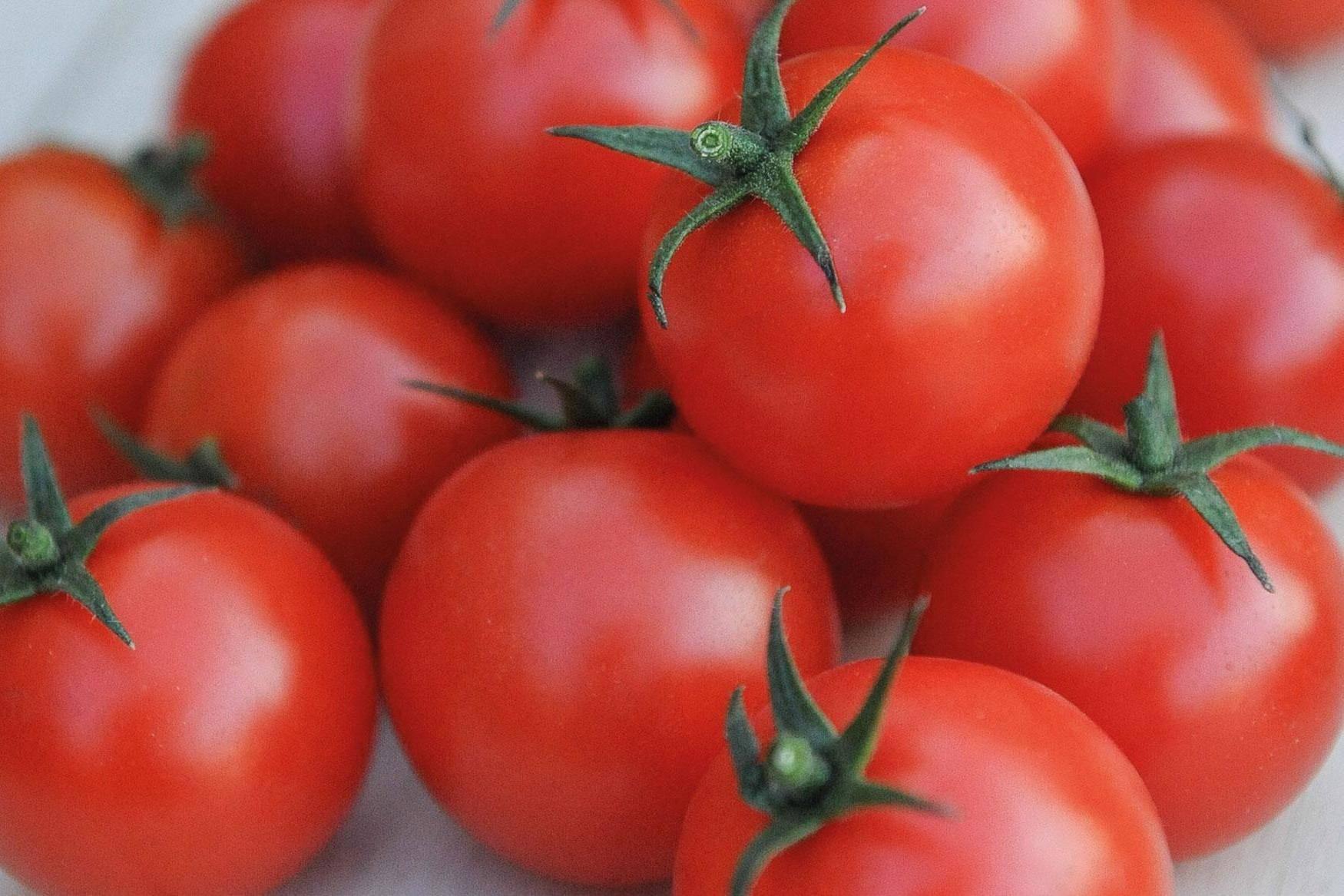 I admit tomato porn has become obsessive, but nothing gives me more pleasure this weird summer than eating a juicy specimen on toast