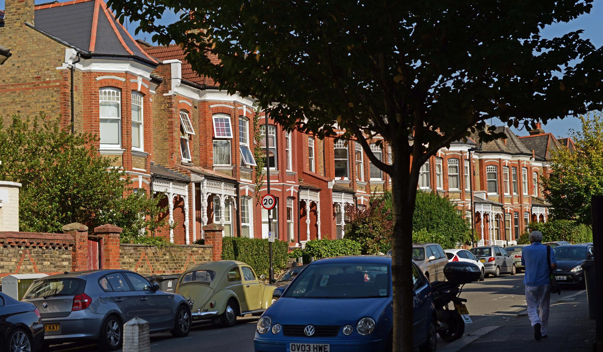 Trees can scrub out particle matter and exhaust fumes that can spark asthma attacks