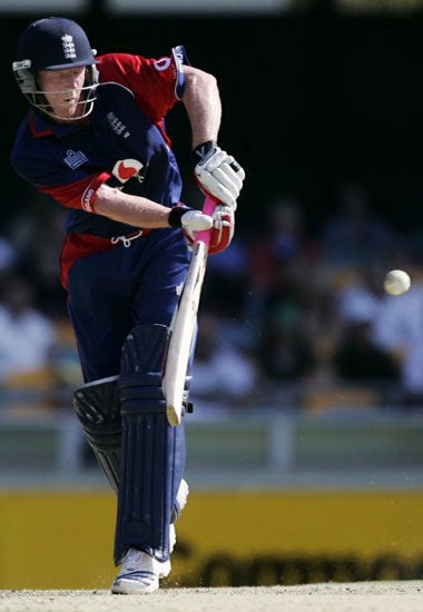 Collingwood plays a pull shot against New Zealand